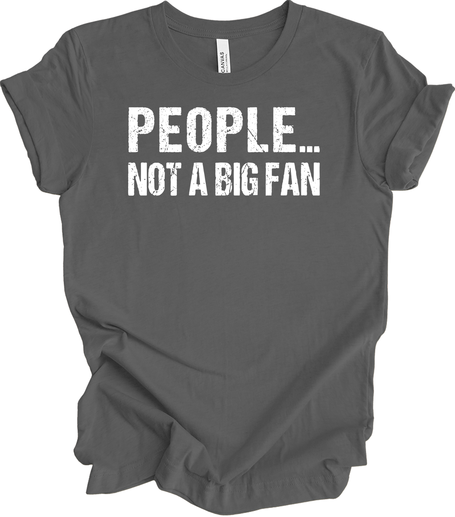 People Not A Big Fan - Introvert Humor T-Shirt in Asphalt