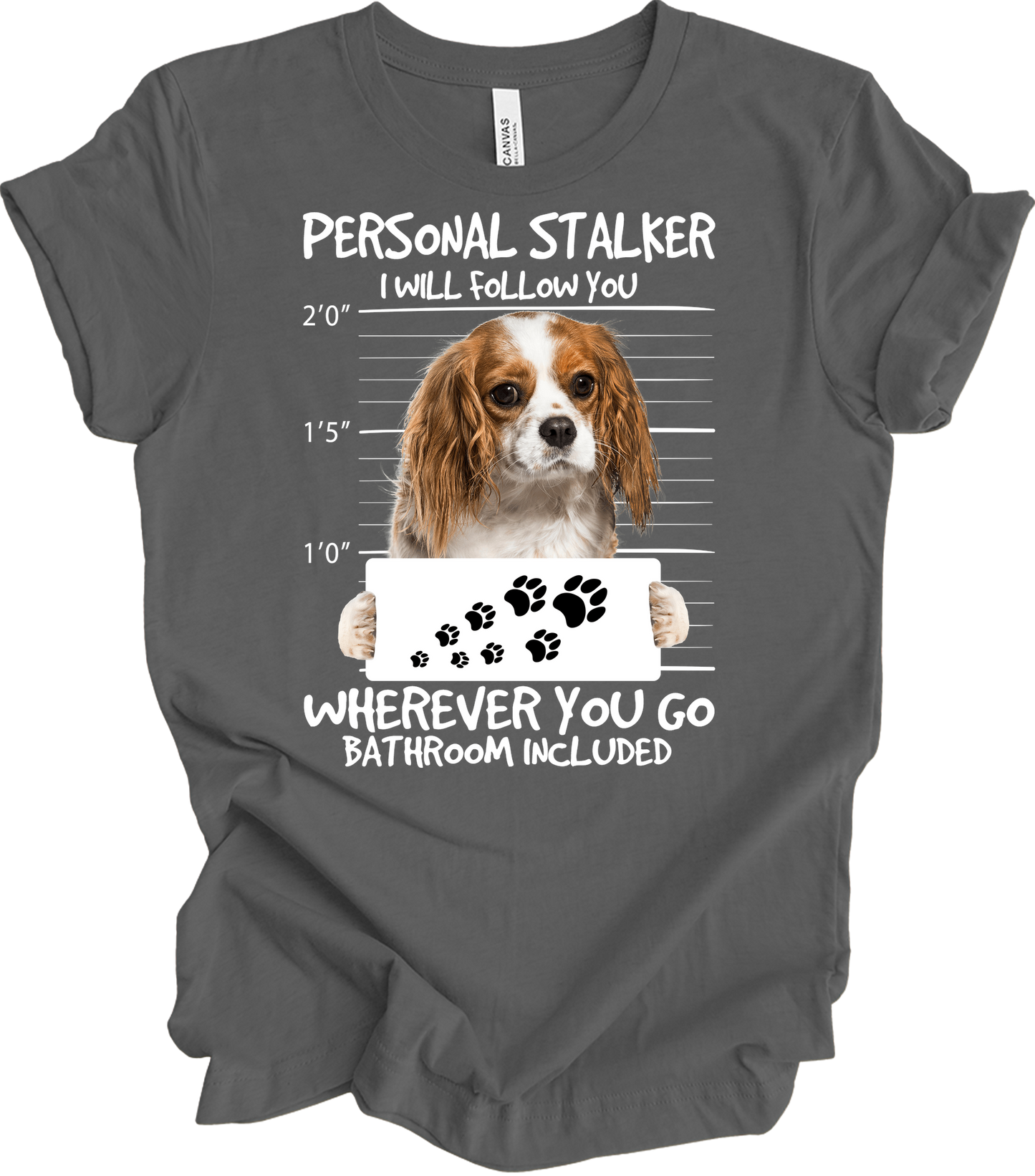 Cavalier King Charles Spaniel Stalker T-Shirt in Asphalt