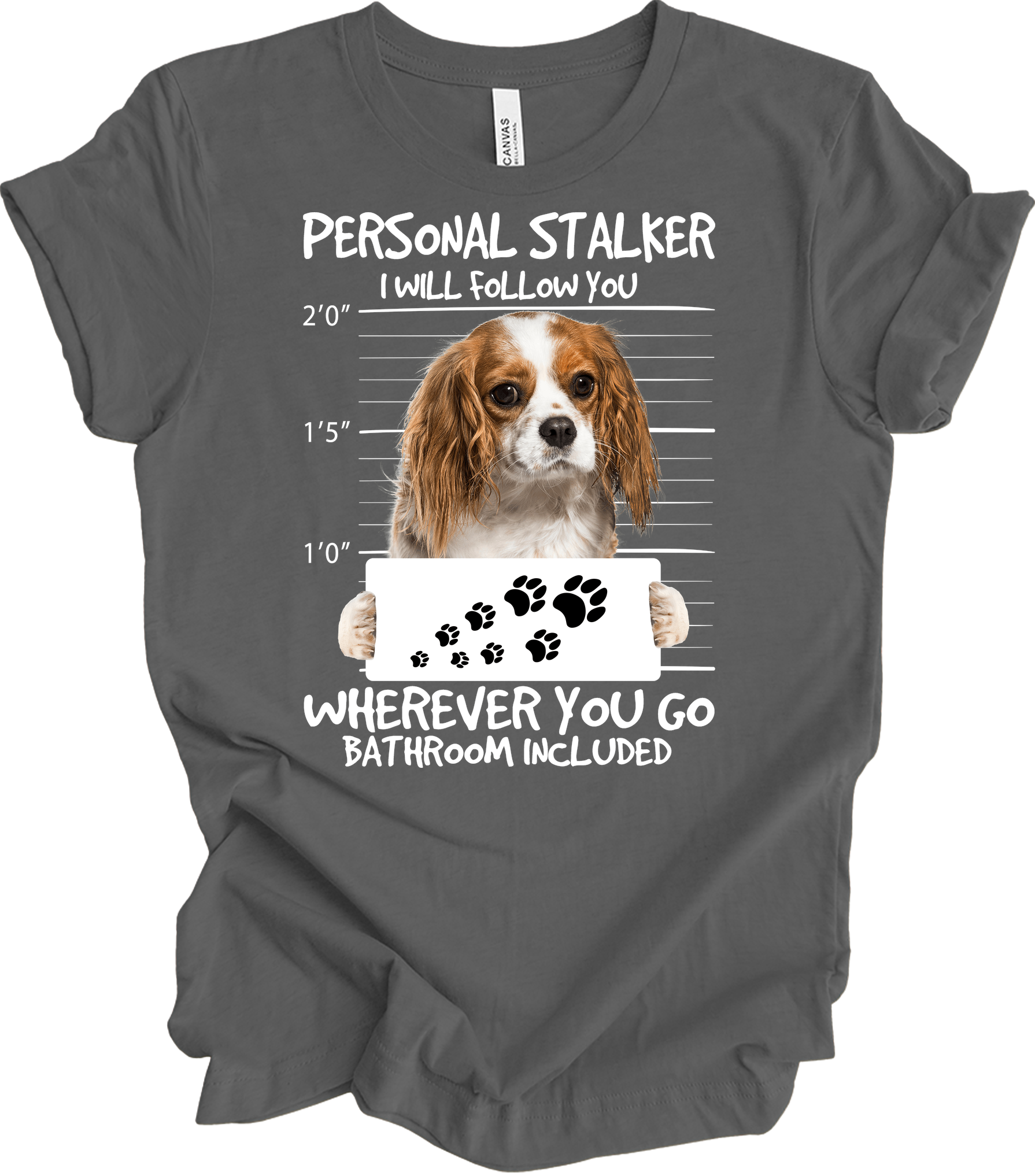 Cavalier King Charles Spaniel Stalker T-Shirt in Asphalt