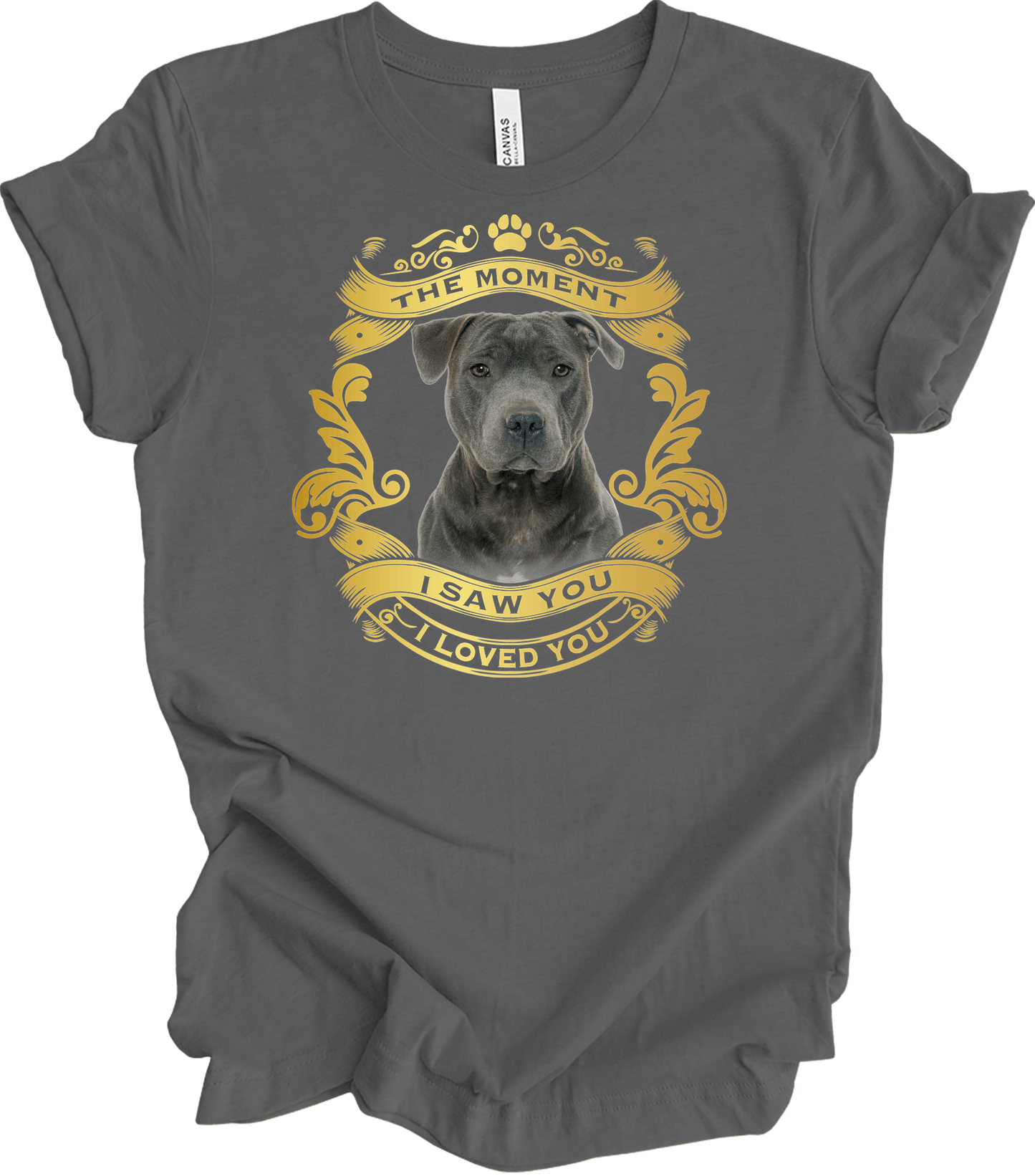 Pitbull Dog Lover T-Shirt in Asphalt