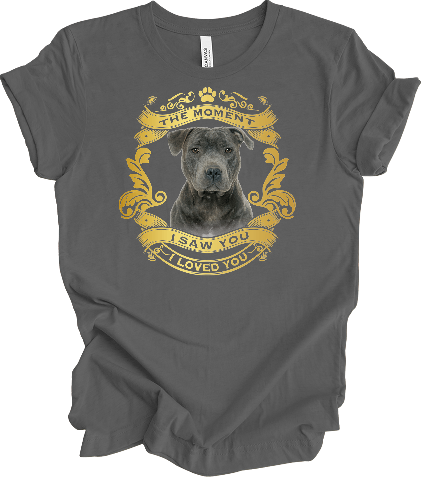 Pitbull Dog Lover T-Shirt in Asphalt