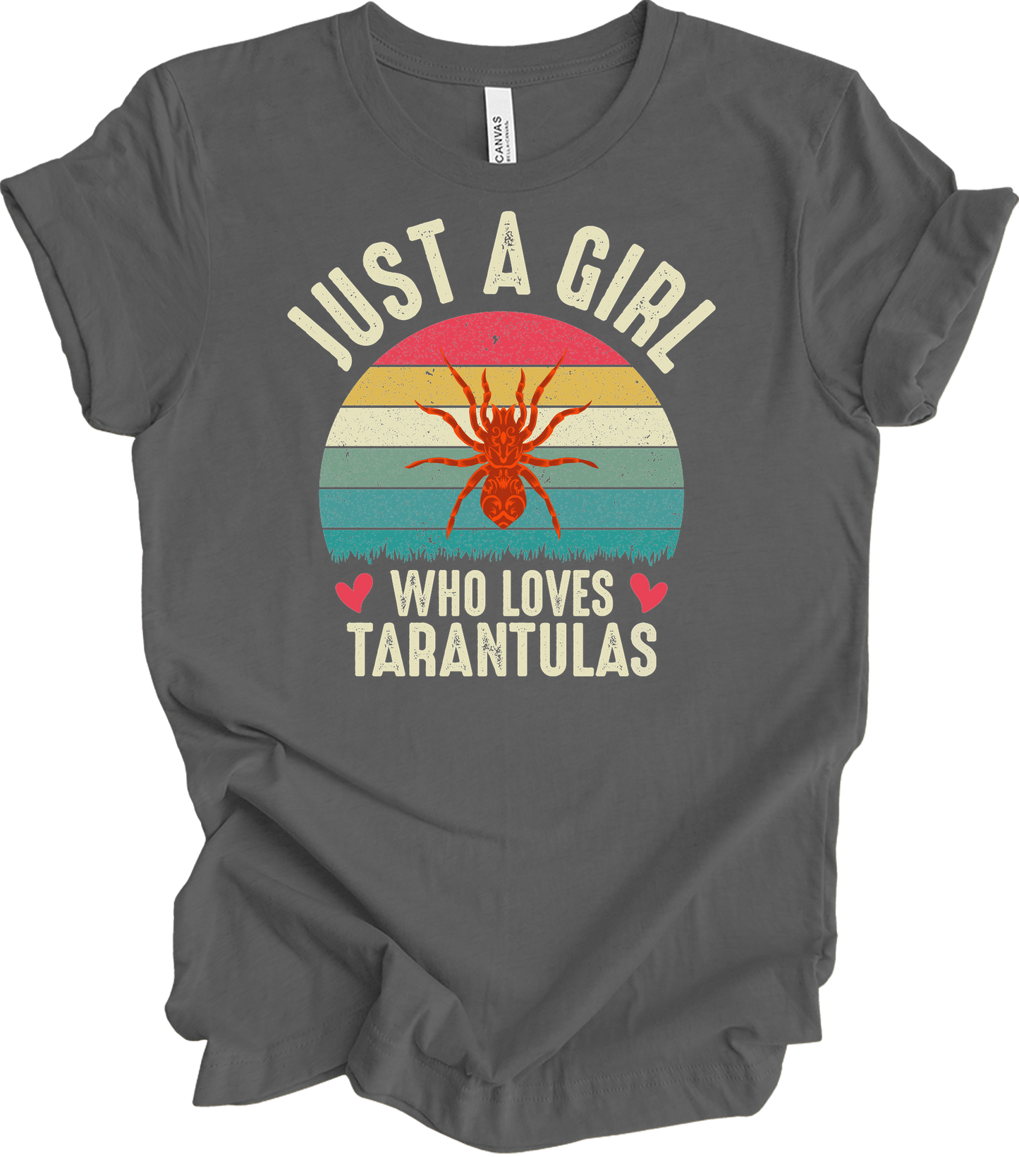 Girl Who Loves Tarantulas T-Shirt in Asphalt