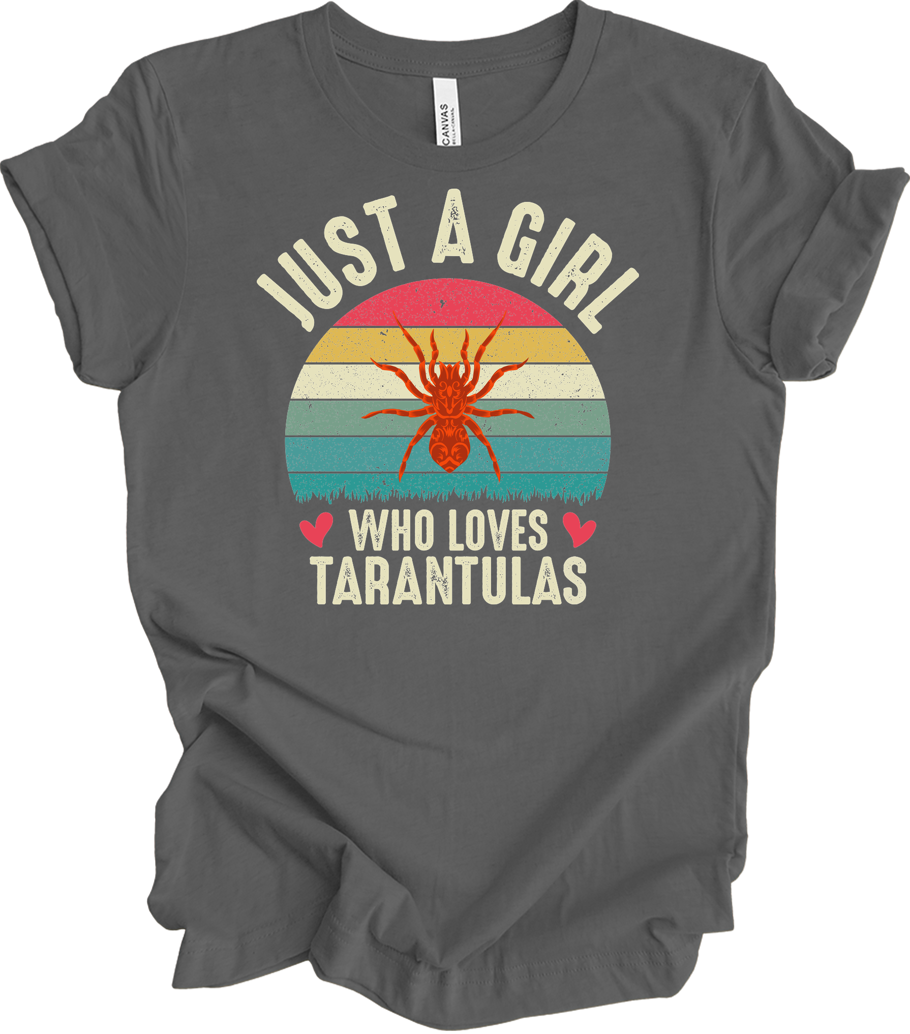 Girl Who Loves Tarantulas T-Shirt in Asphalt