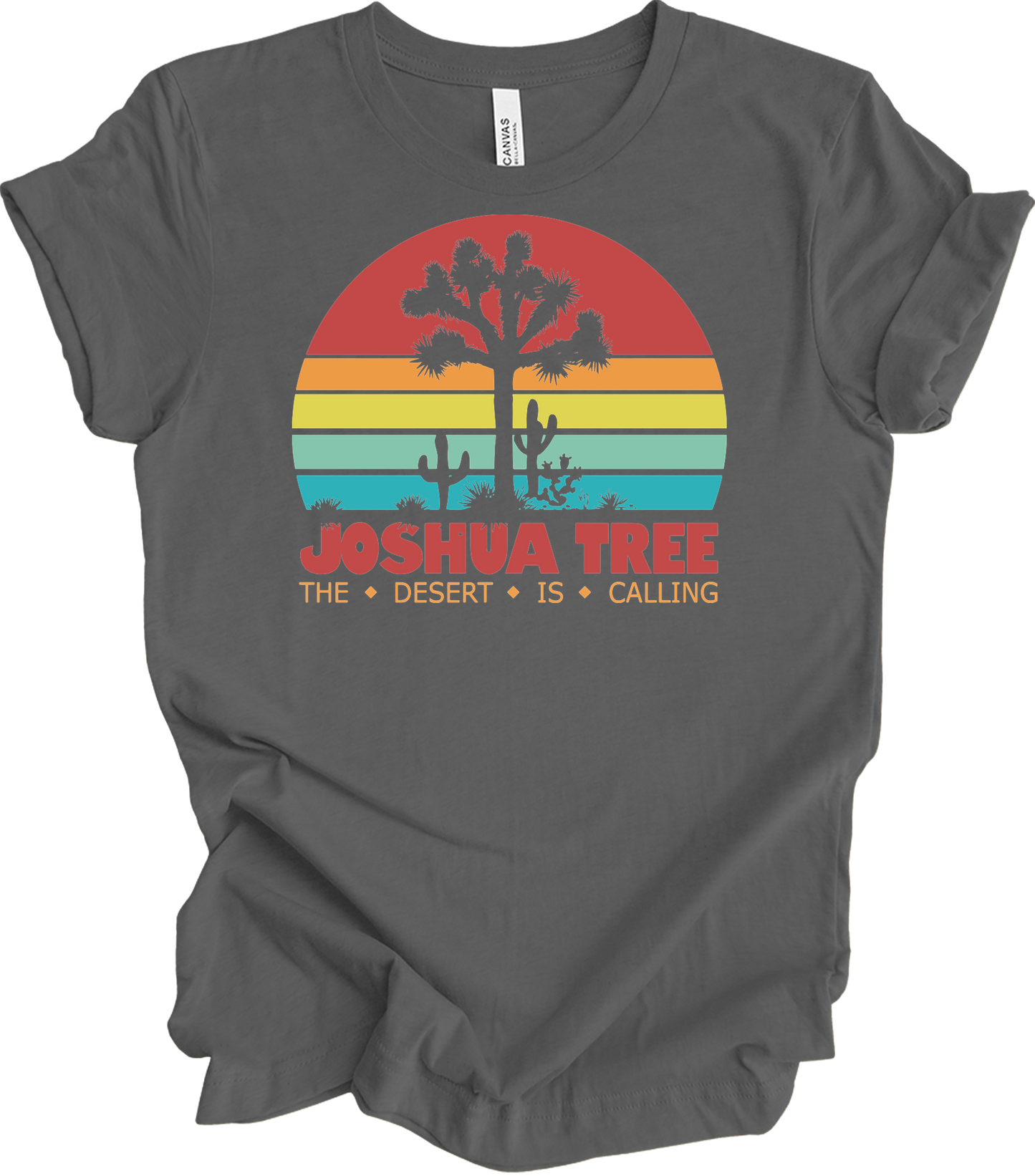 Joshua Tree Vintage T-Shirt in Asphalt