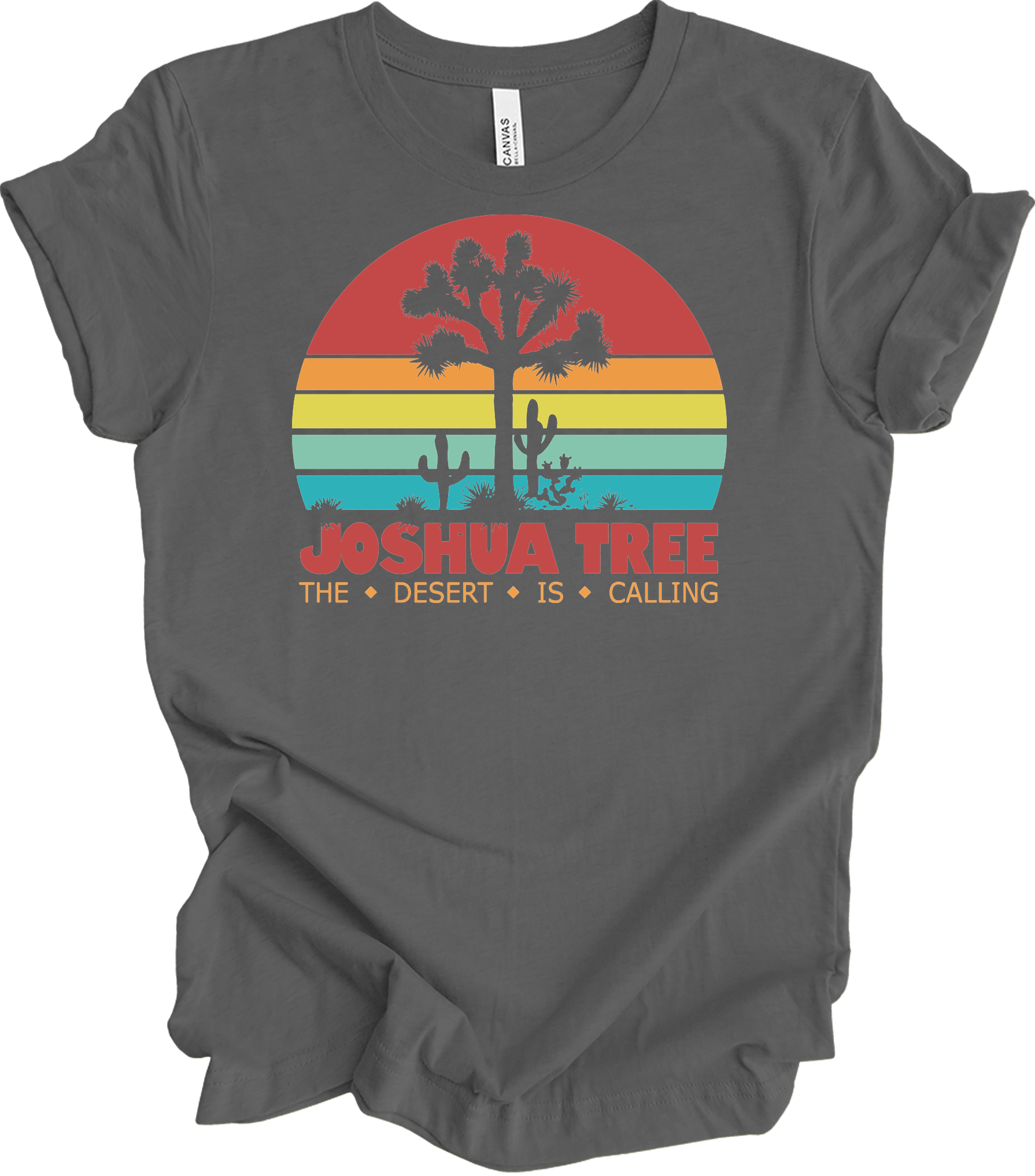 Joshua Tree Vintage T-Shirt in Asphalt