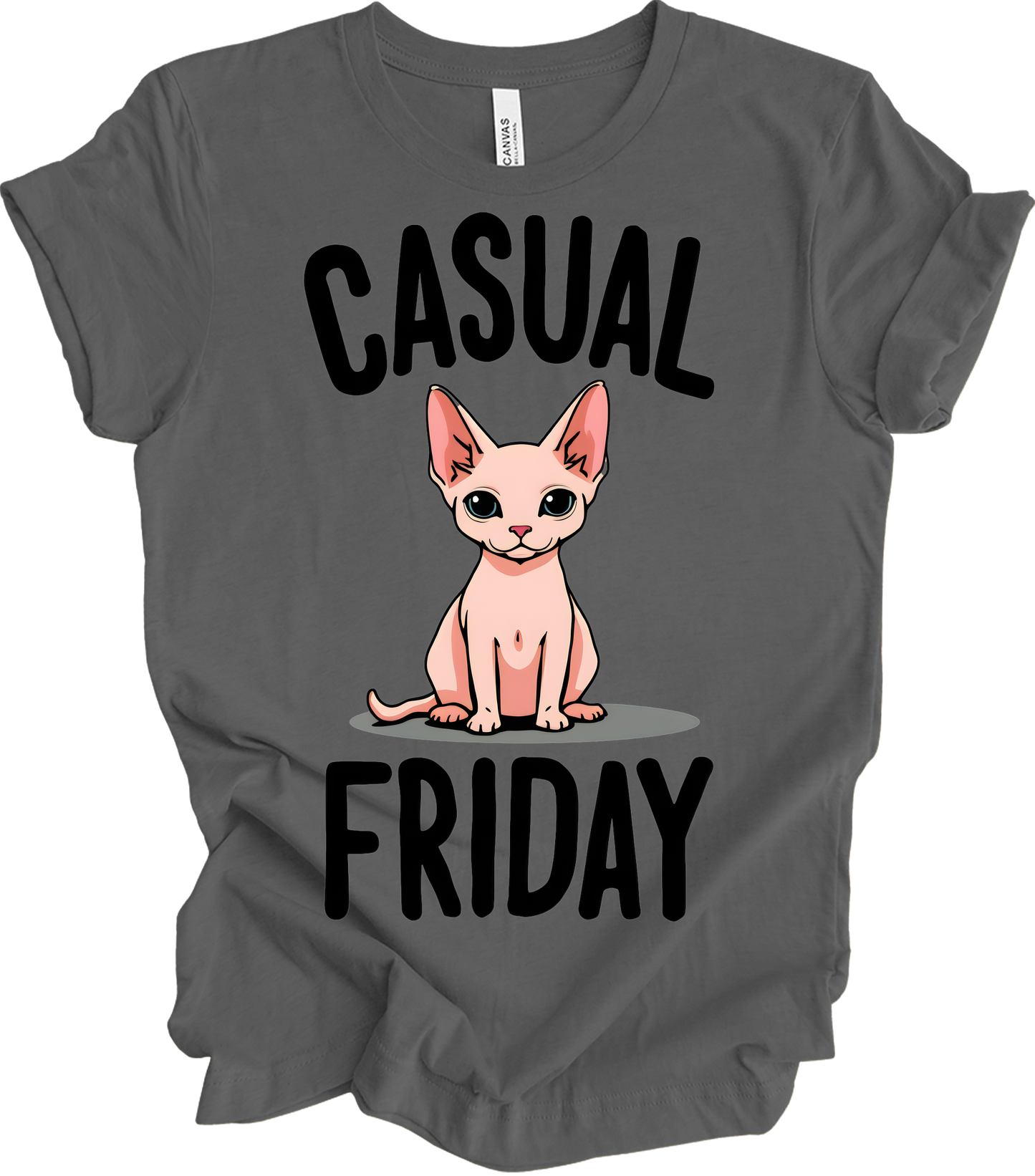 Casual Friday Hairless Cat T-Shirt in Asphalt