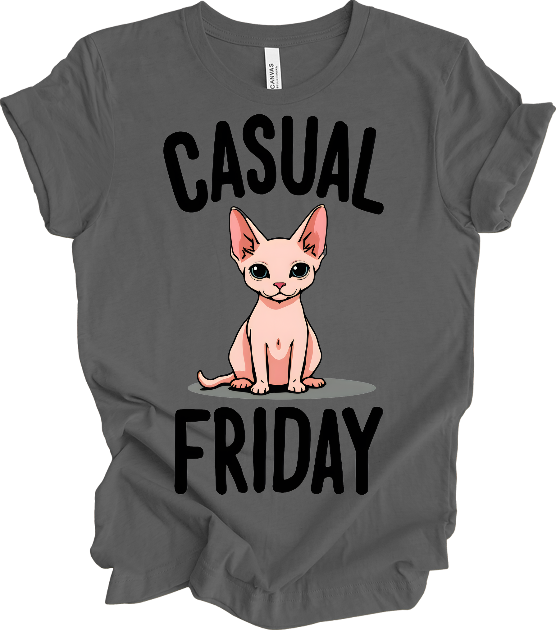 Casual Friday Hairless Cat T-Shirt in Asphalt