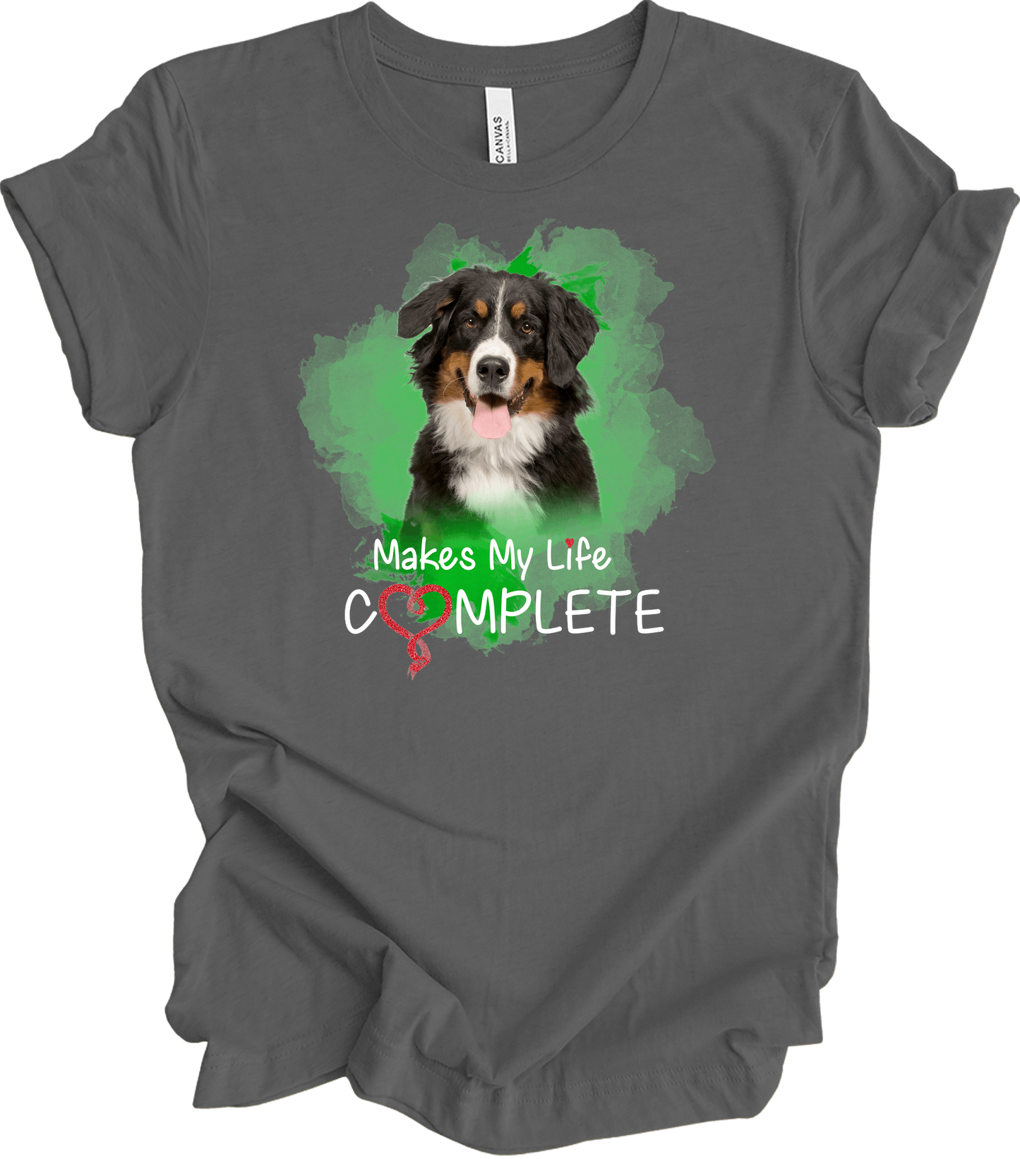 Bernese Mountain Dog Complete T-Shirt in Asphalt