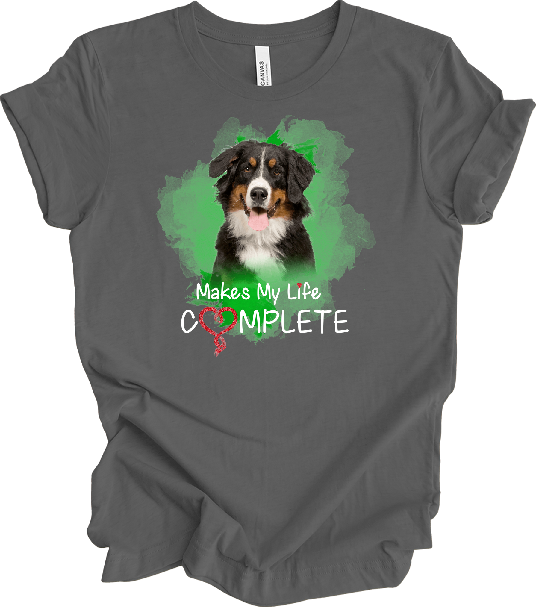 Bernese Mountain Dog Complete T-Shirt in Asphalt