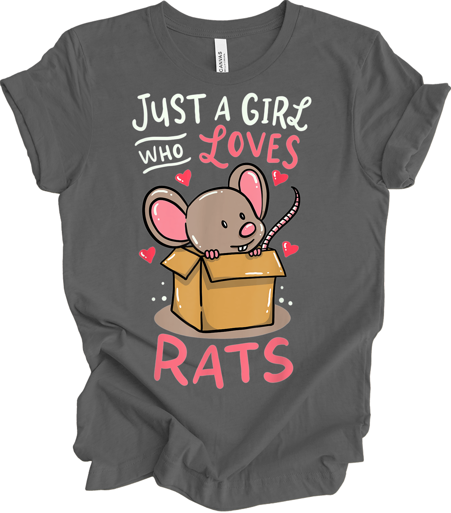Just a Girl Who Loves Rats T-Shirt in Asphalt