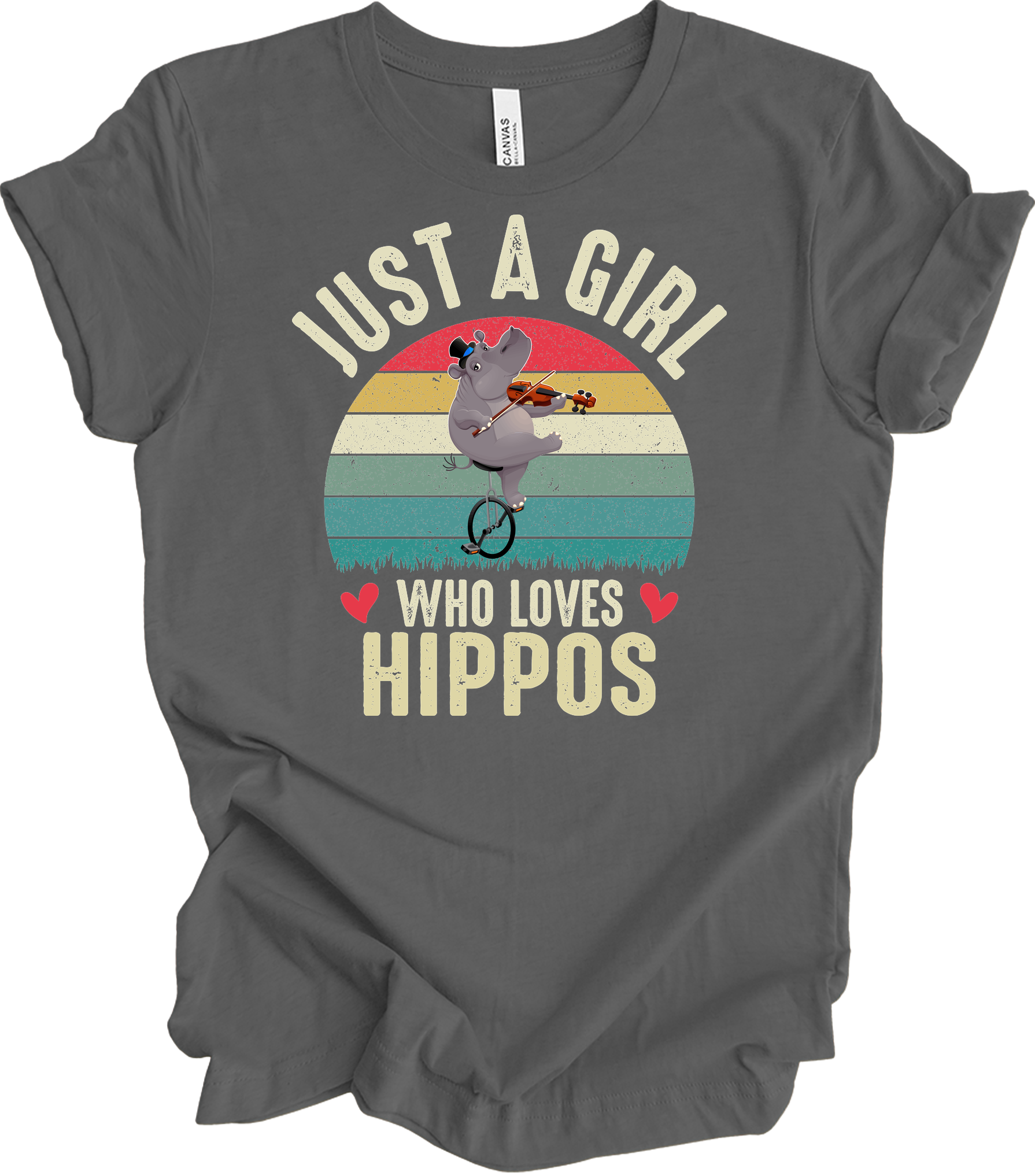 Just A Girl Who Loves Hippos T-Shirt in Asphalt