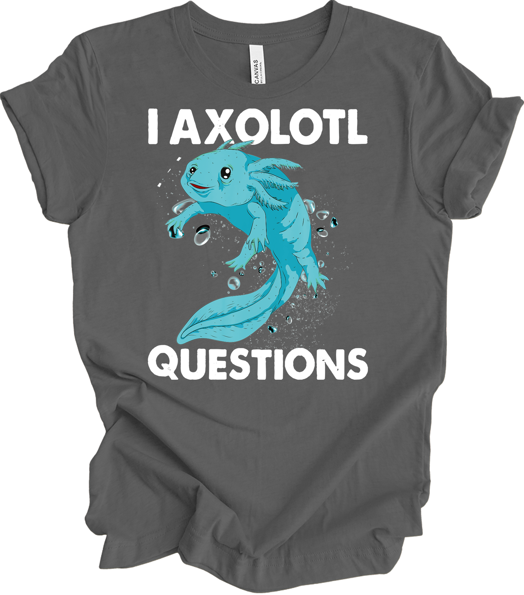 I Axolotl Questions - Fun & Cute T-Shirt in Asphalt