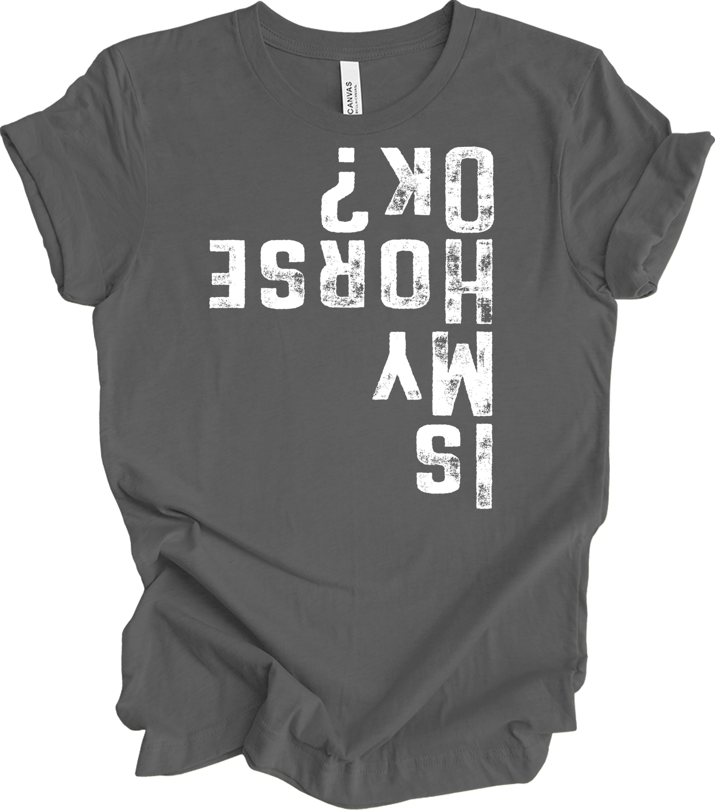 Is My Horse OK? Equestrian T-Shirt in Asphalt
