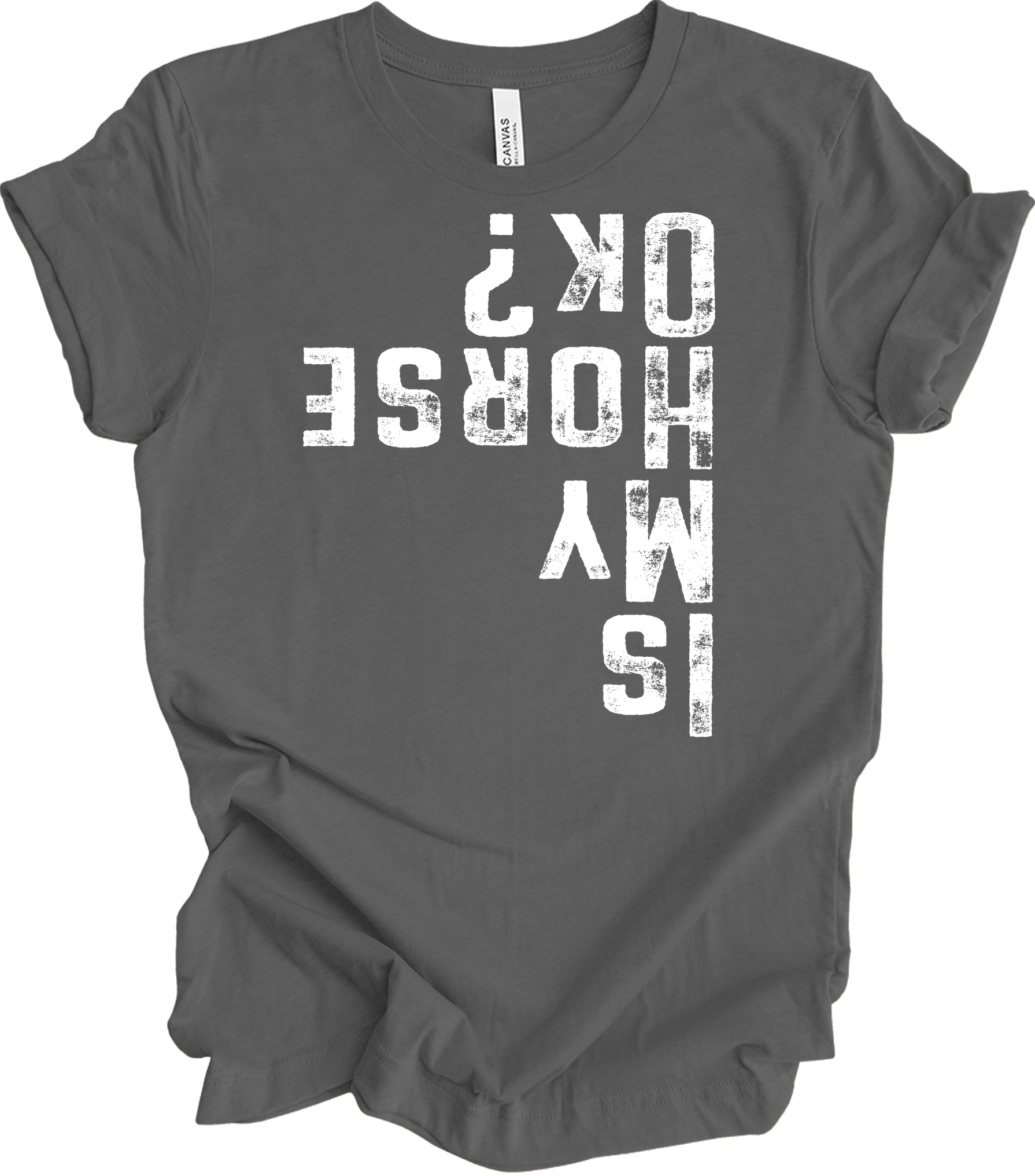Is My Horse OK? Equestrian T-Shirt in Asphalt