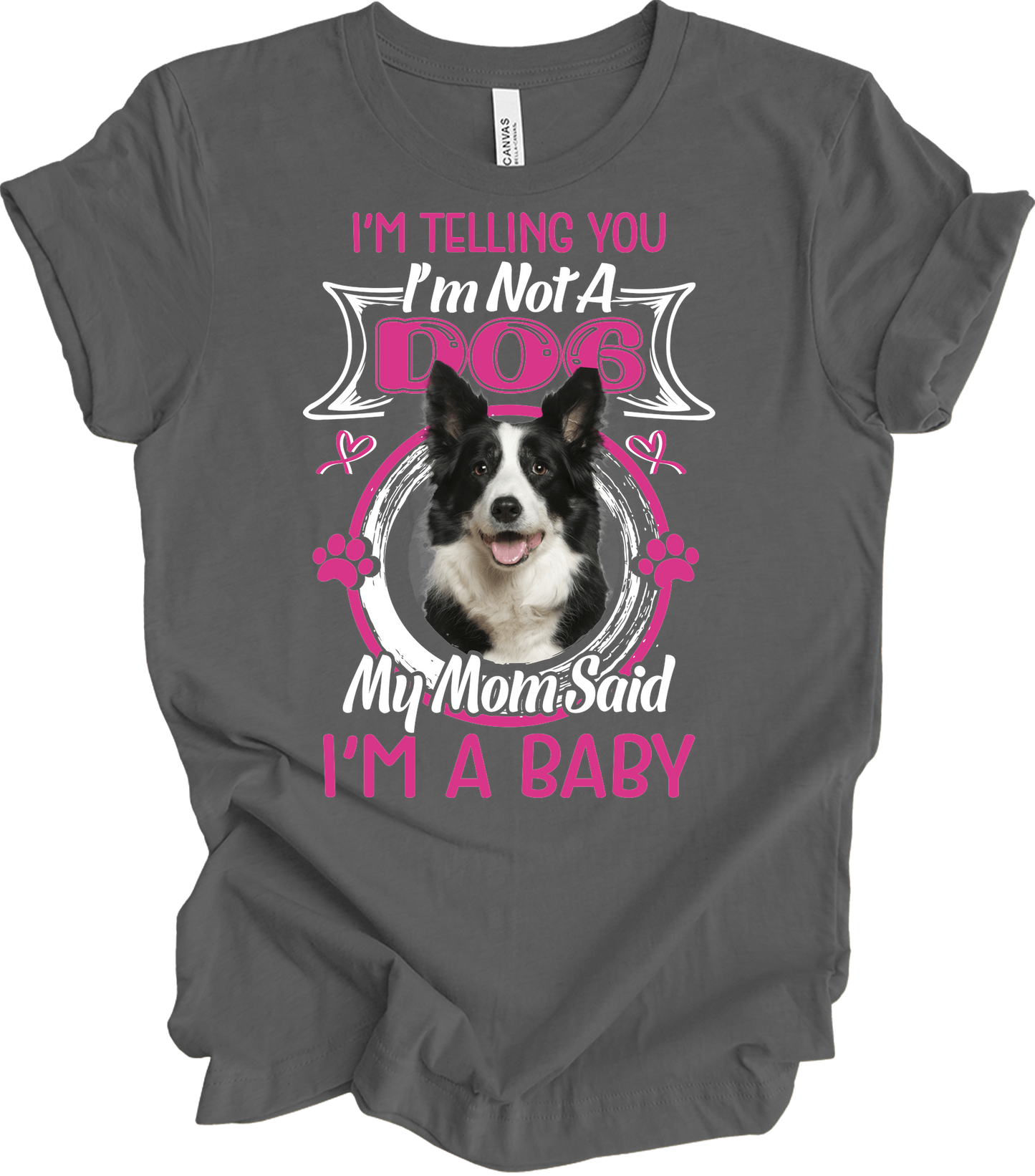 Border Collie 'I'm A Baby' T-Shirt in Asphalt