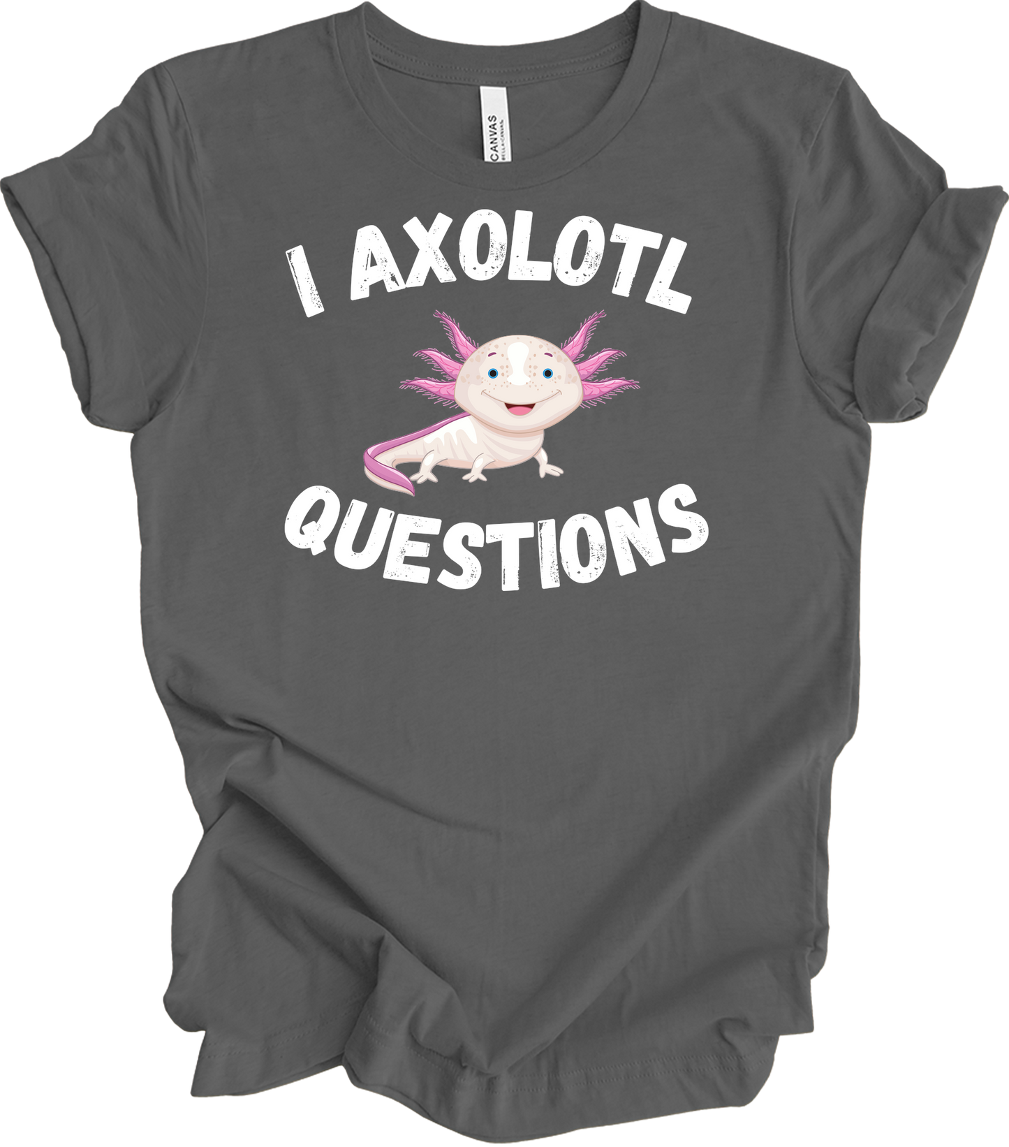 I Axolotl Questions - Cute Design T-Shirt in Asphalt