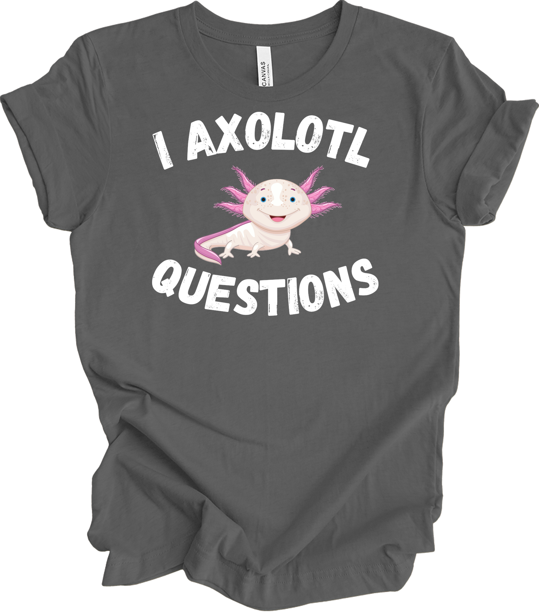 I Axolotl Questions - Cute Design T-Shirt in Asphalt
