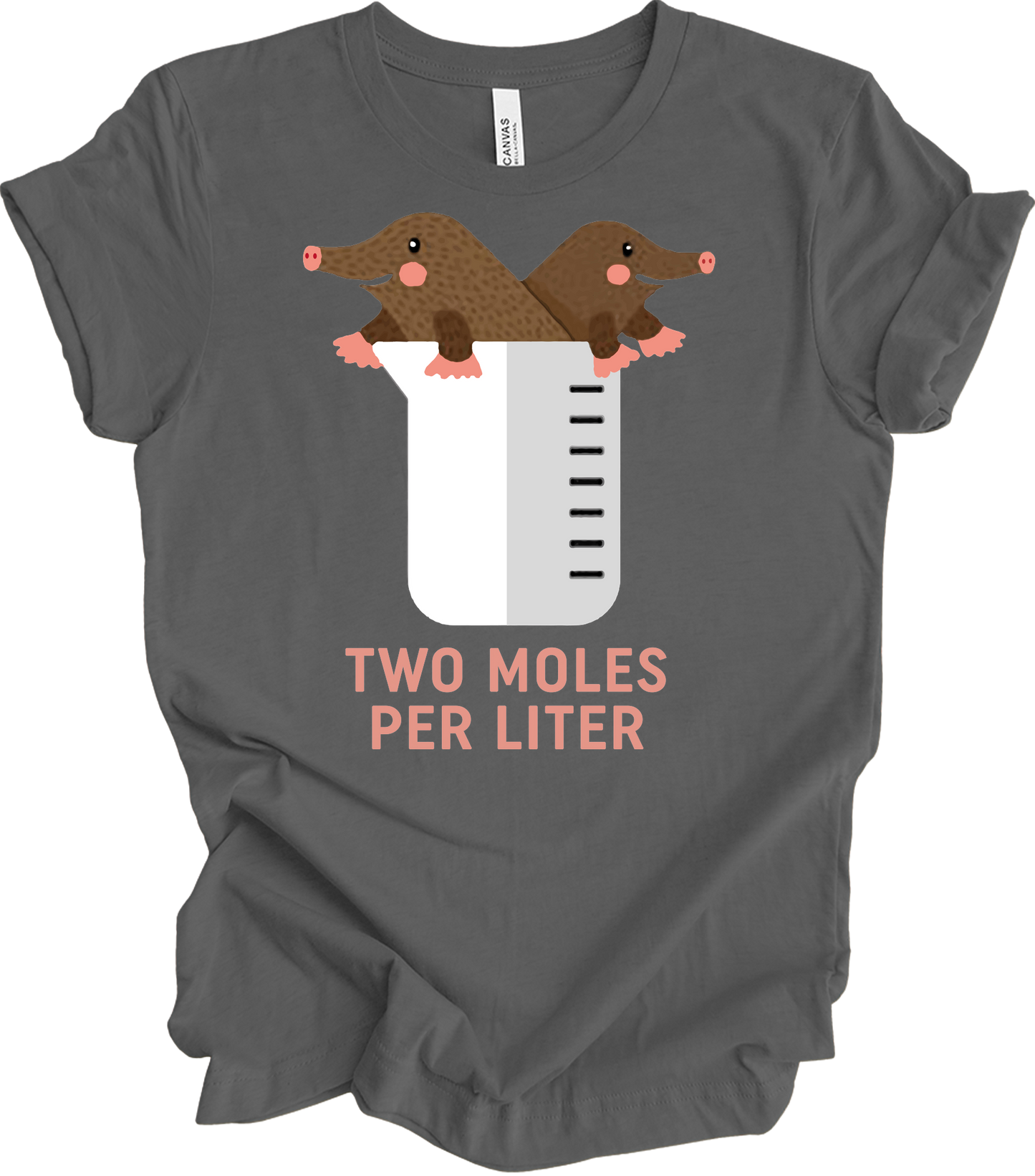 Two Moles Per Liter Funny Chemistry Science T-Shirt in Asphalt