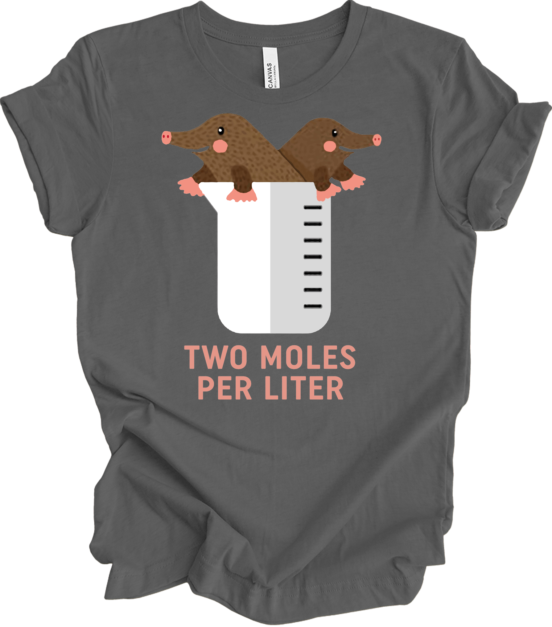 Two Moles Per Liter Funny Chemistry Science T-Shirt in Asphalt