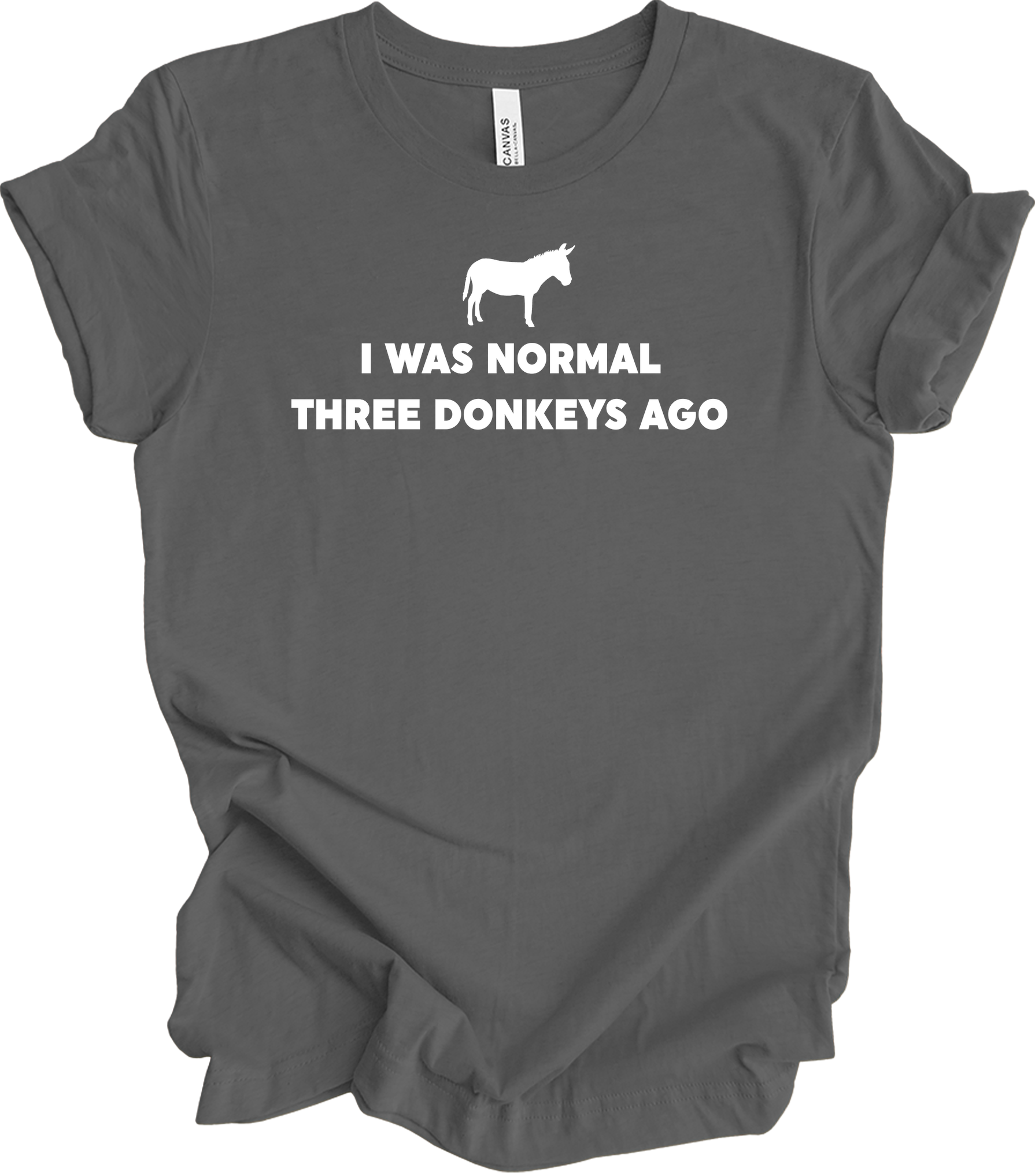 Funny Donkey Lover T-Shirt in Asphalt
