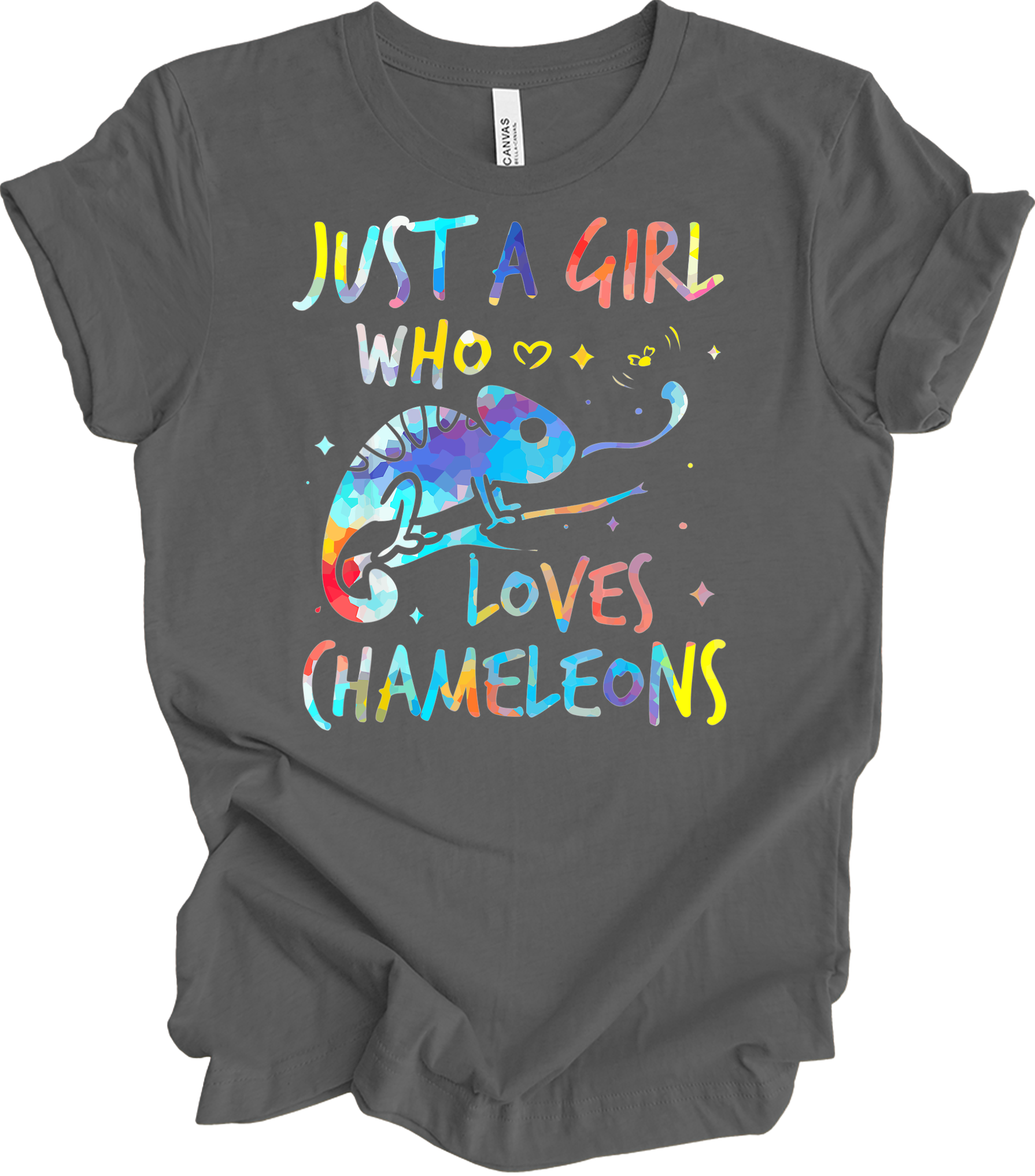 Girl Who Loves Chameleons T-Shirt in Asphalt