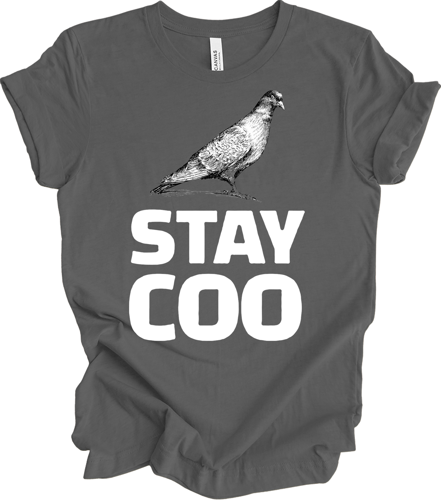 Stay Coo Pigeon - Vintage Style T-Shirt in Asphalt