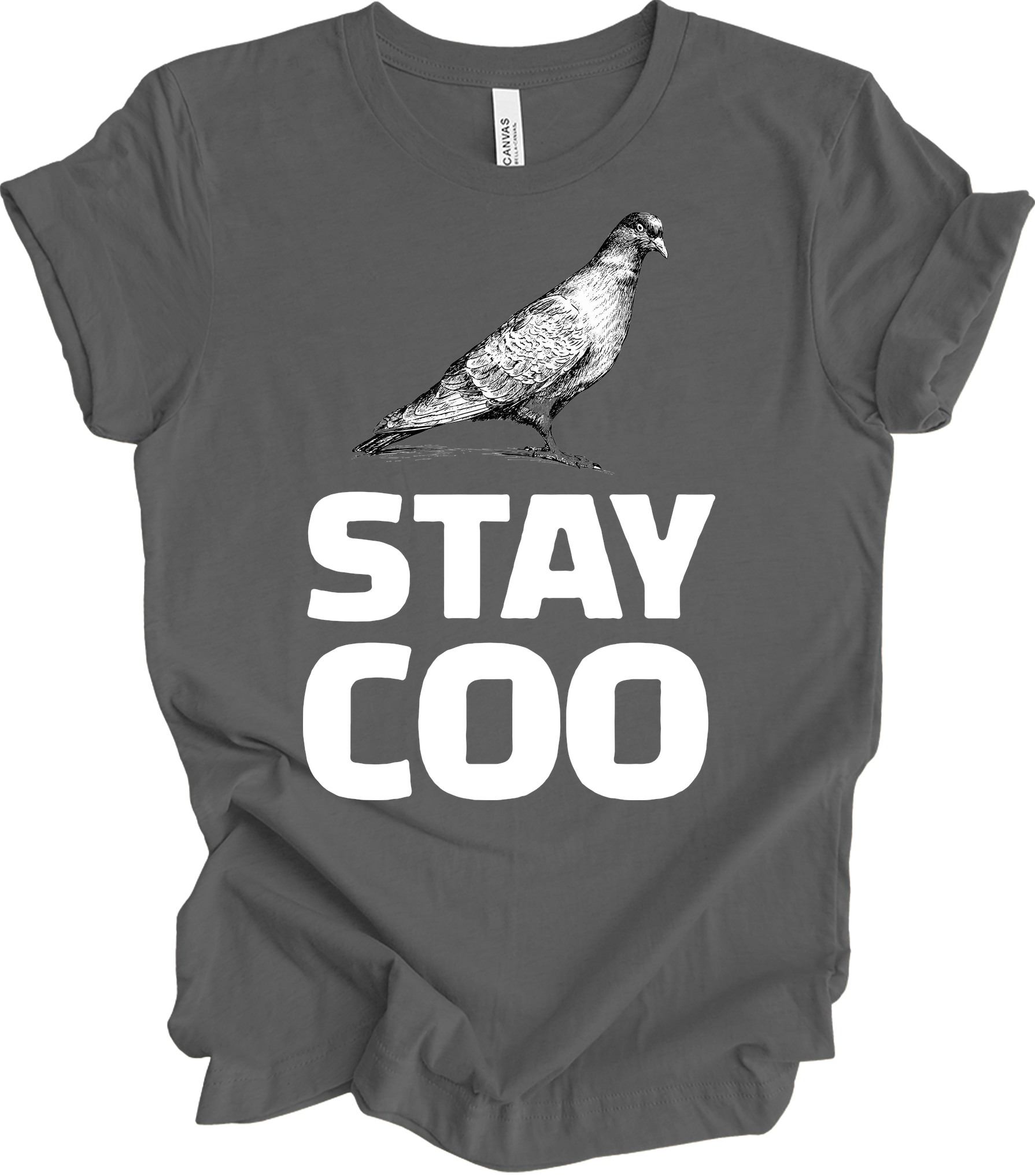 Stay Coo Pigeon - Vintage Style T-Shirt in Asphalt