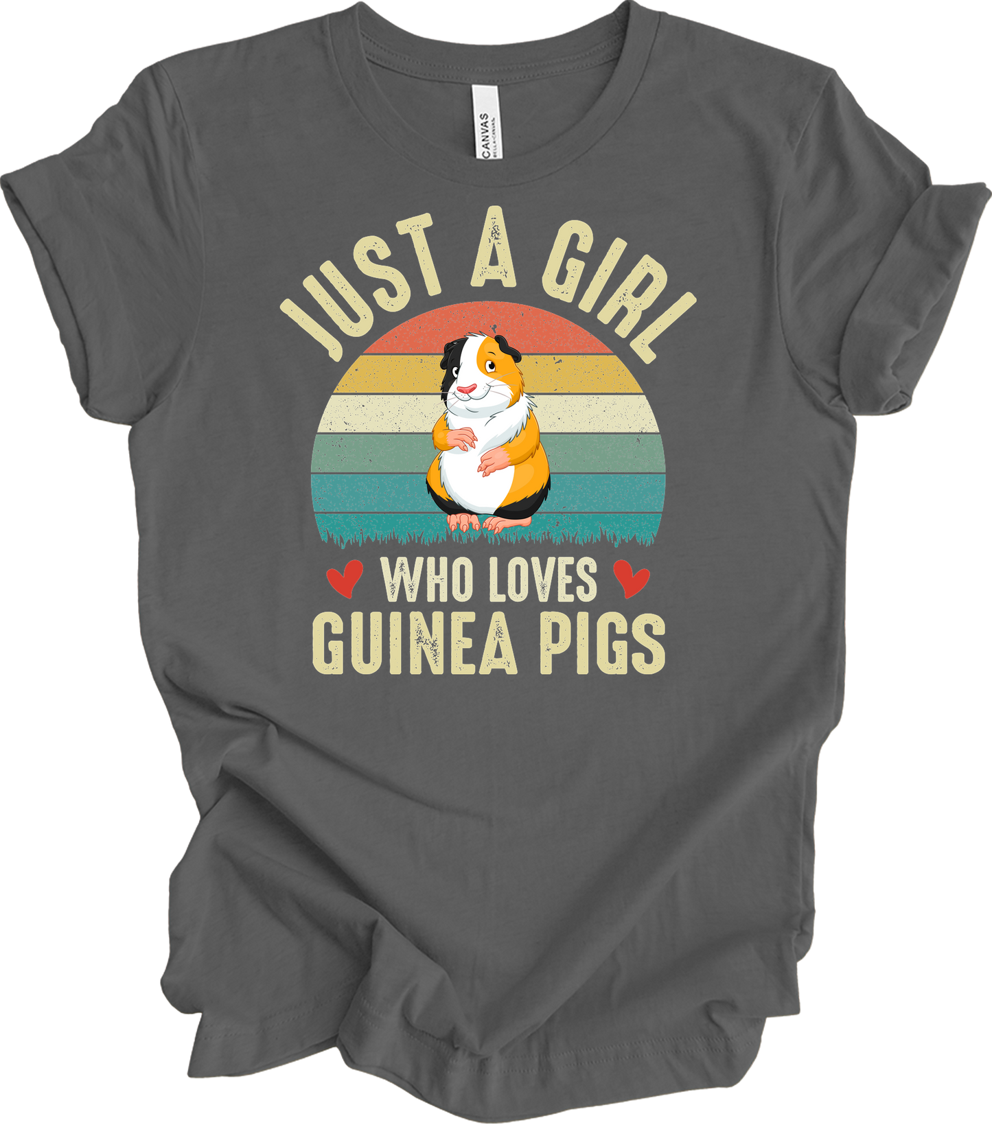 Just a Girl Who Loves Guinea Pigs - Cute Retro Pet Gift T-Shirt in Asphalt