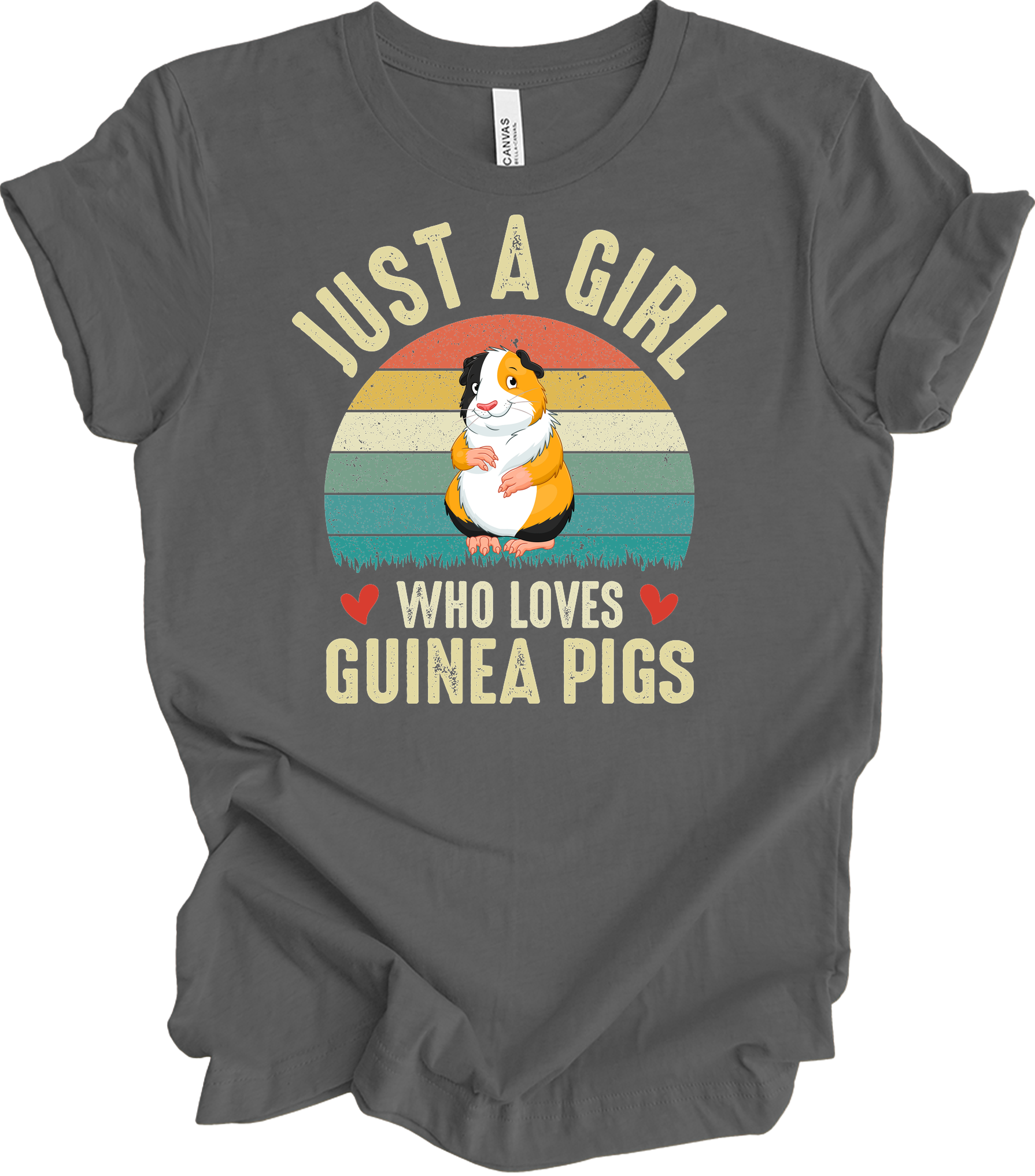 Just a Girl Who Loves Guinea Pigs - Cute Retro Pet Gift T-Shirt in Asphalt
