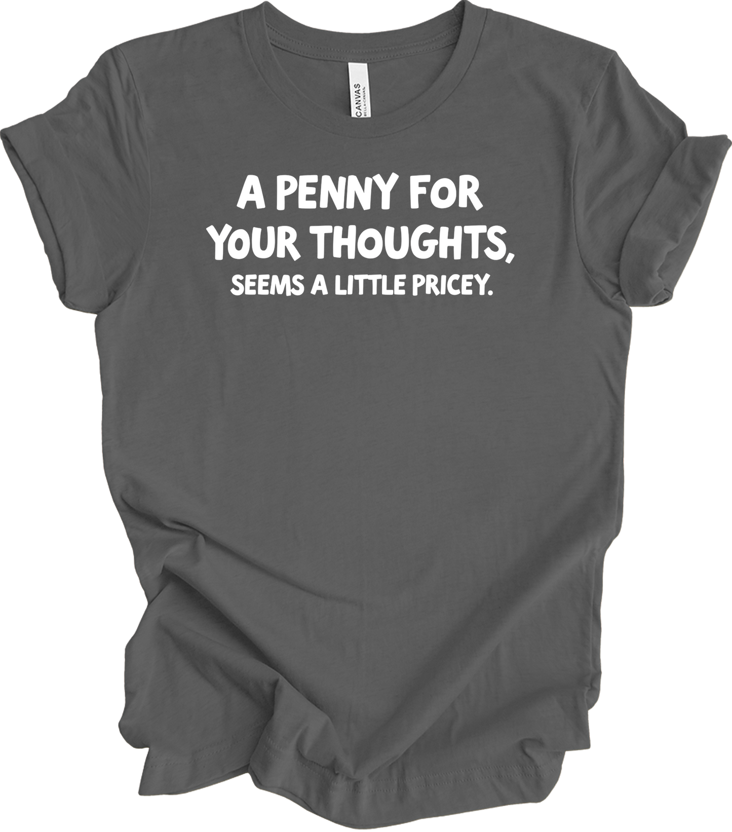 'Penny for Your Thoughts' Funny T-Shirt in Asphalt