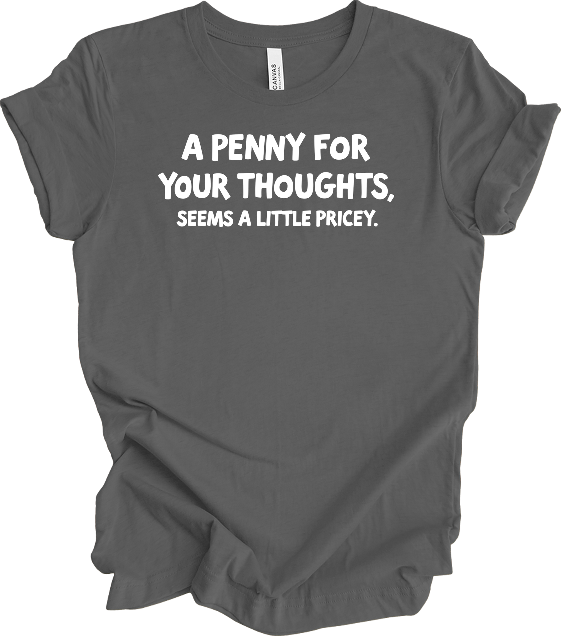 'Penny for Your Thoughts' Funny T-Shirt in Asphalt