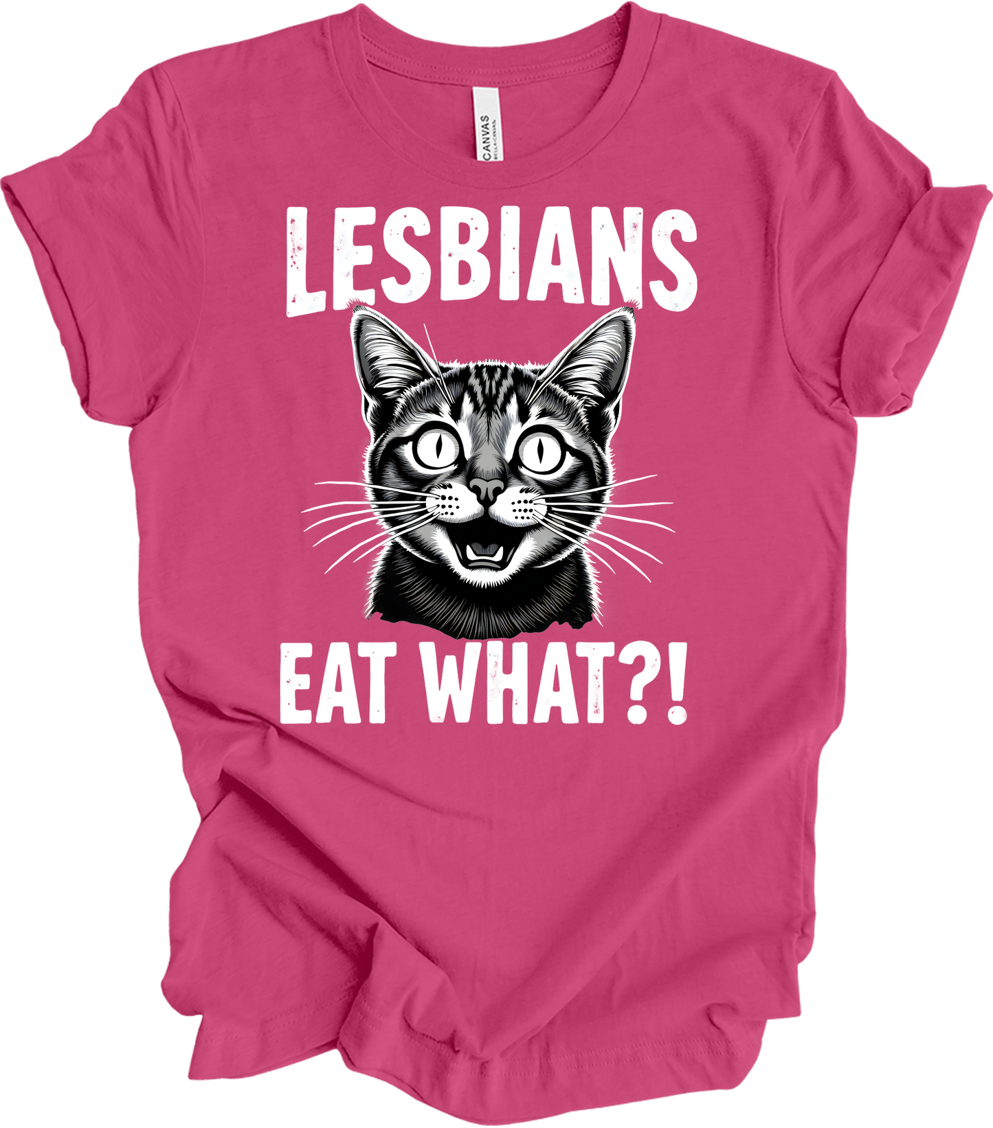 Surprised Cat Meme LGBTQ+ T-Shirt in Berry