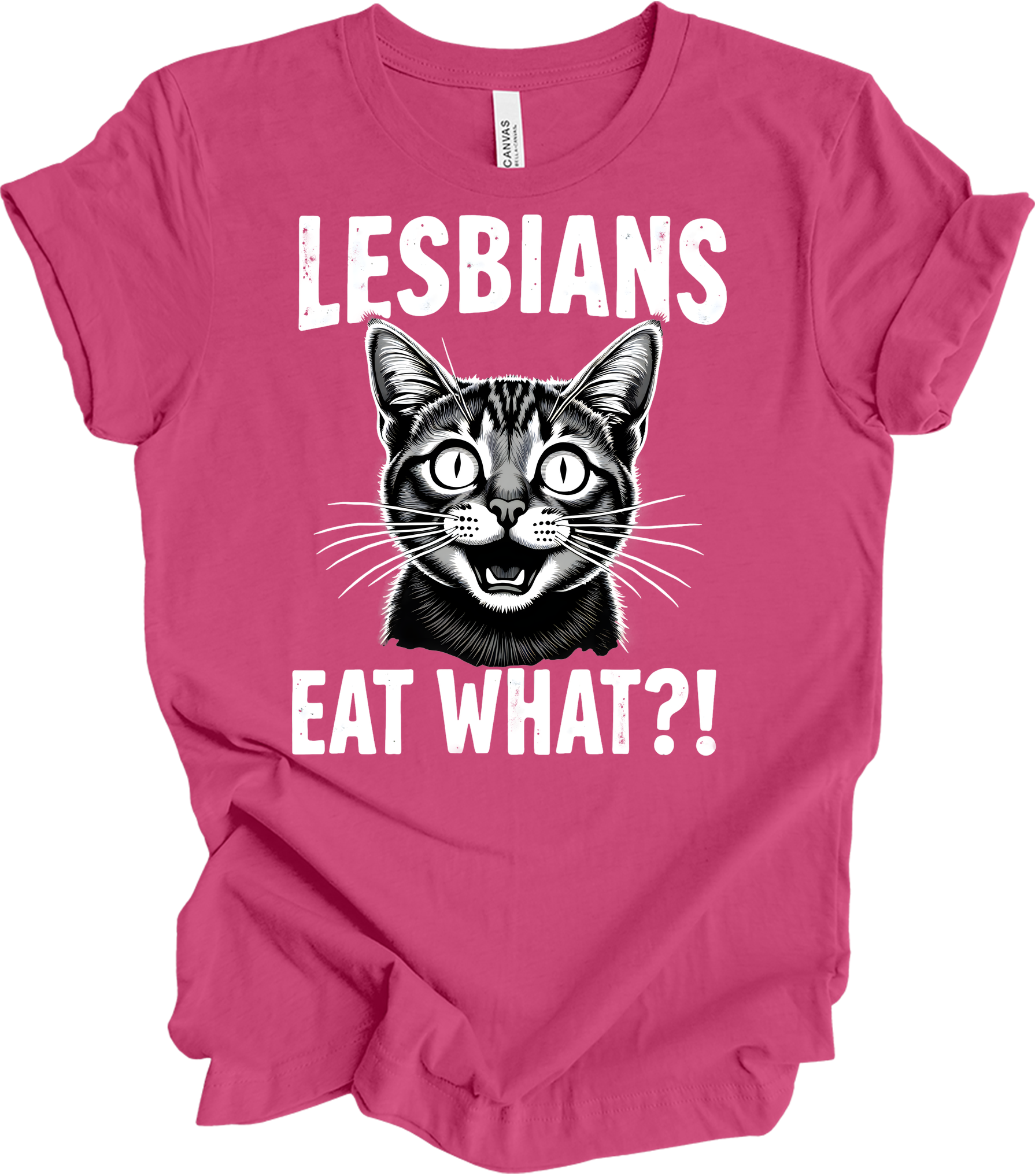 Surprised Cat Meme LGBTQ+ T-Shirt in Berry