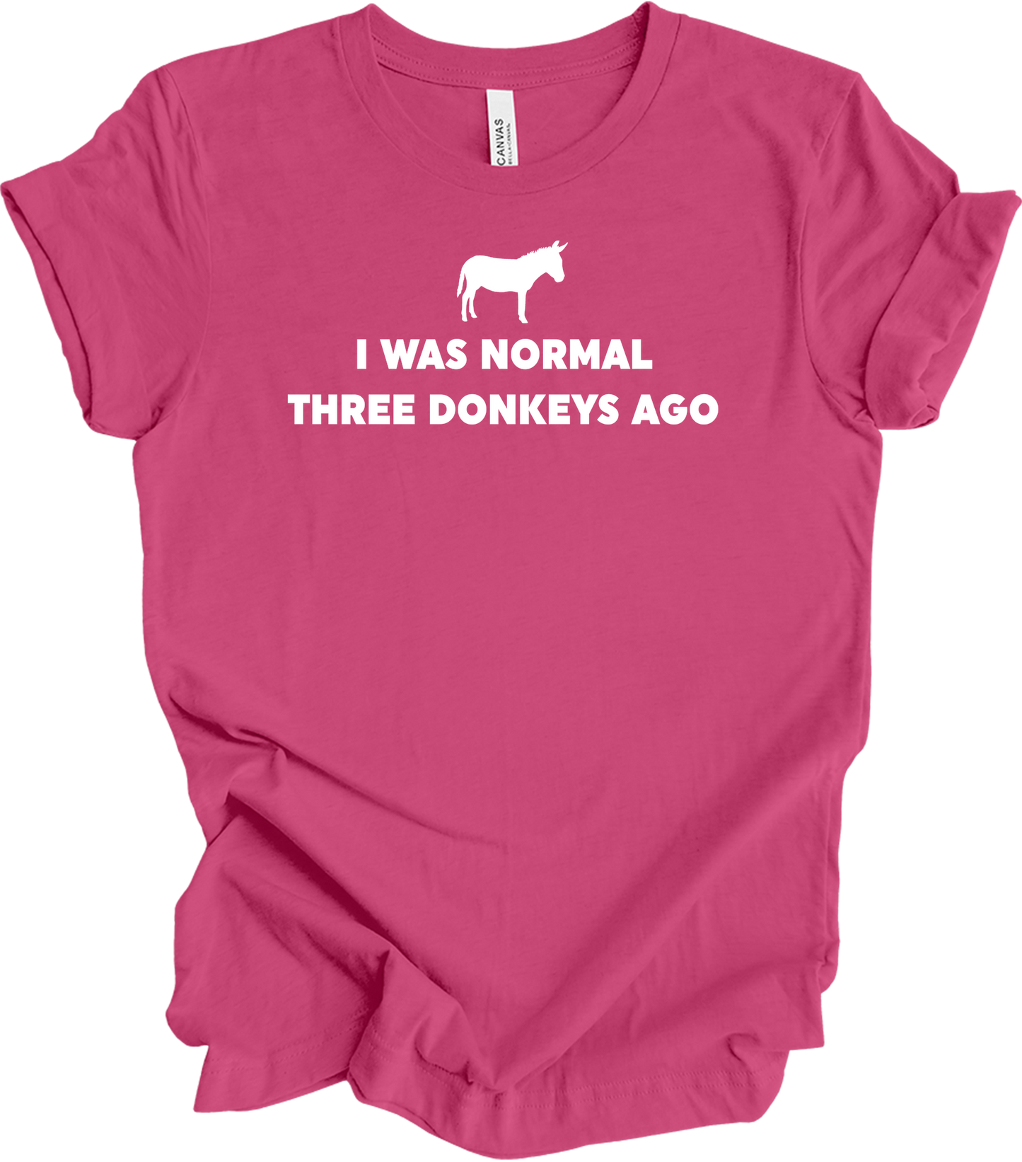 Funny Donkey Lover T-Shirt in Berry