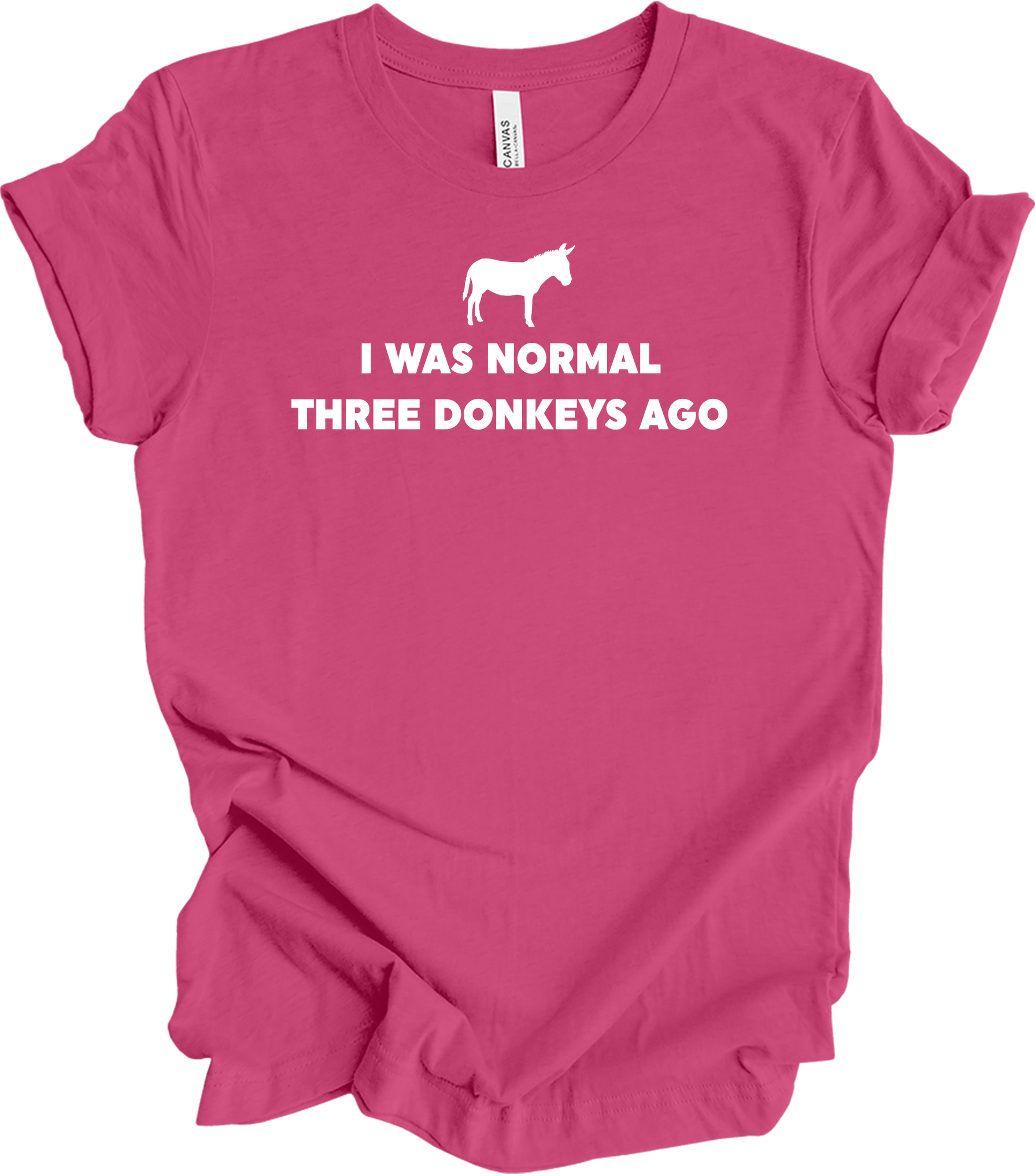 Funny Donkey Lover T-Shirt in Berry