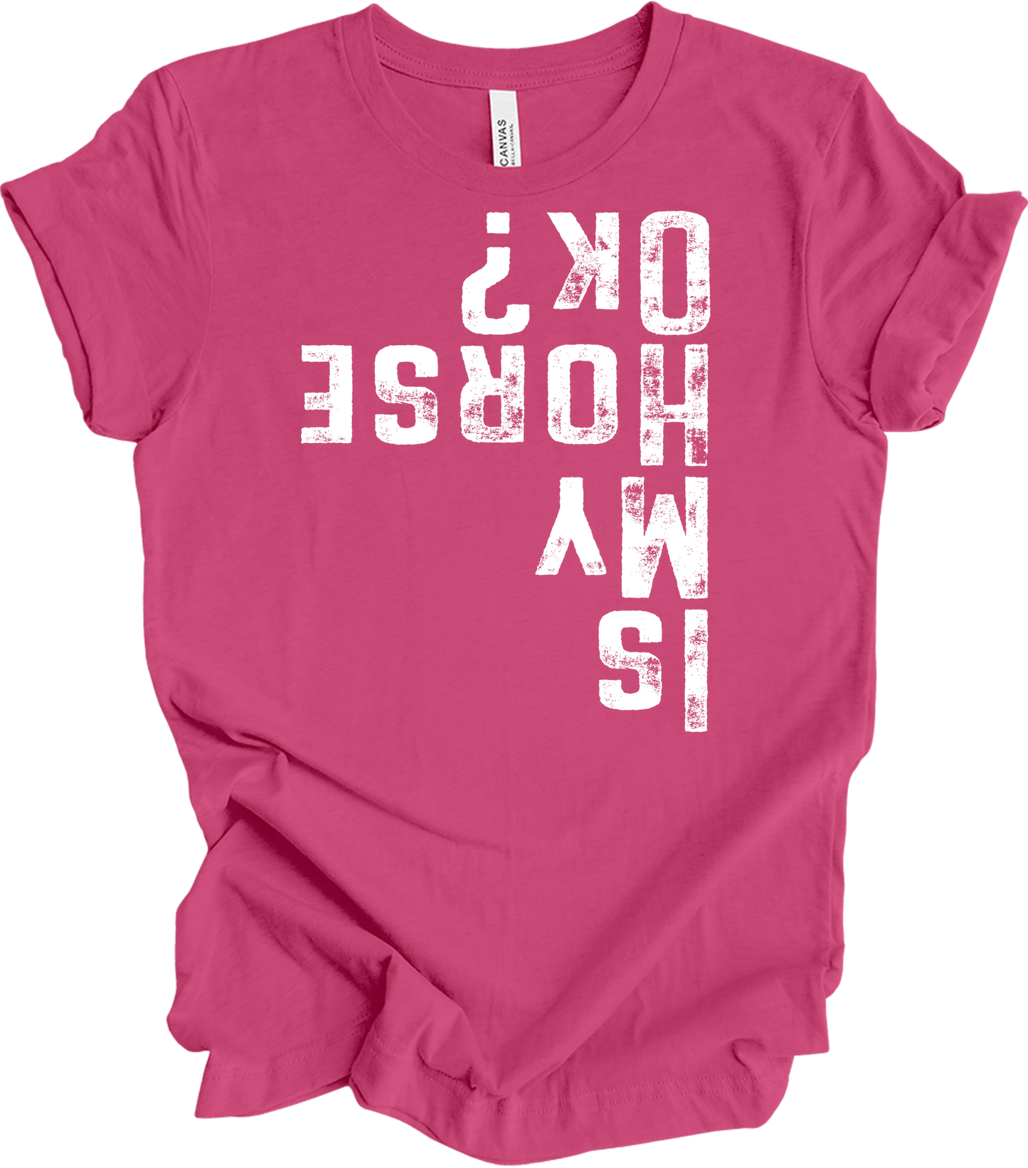 Is My Horse OK? Equestrian T-Shirt in Berry