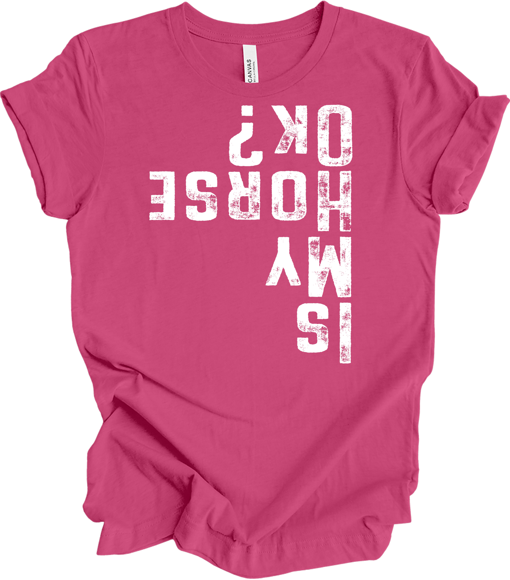 Is My Horse OK? Equestrian T-Shirt in Berry