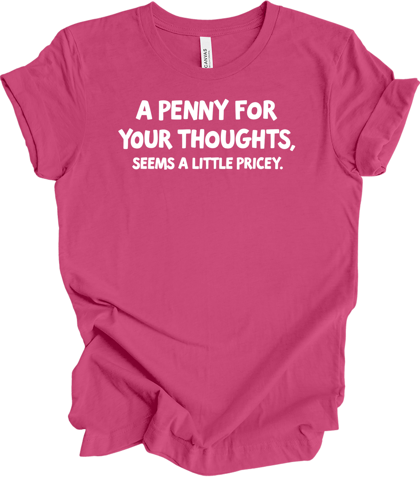 'Penny for Your Thoughts' Funny T-Shirt in Berry