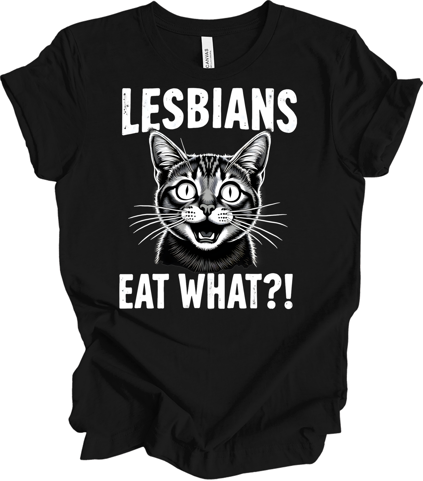Surprised Cat Meme LGBTQ+ T-Shirt in Black