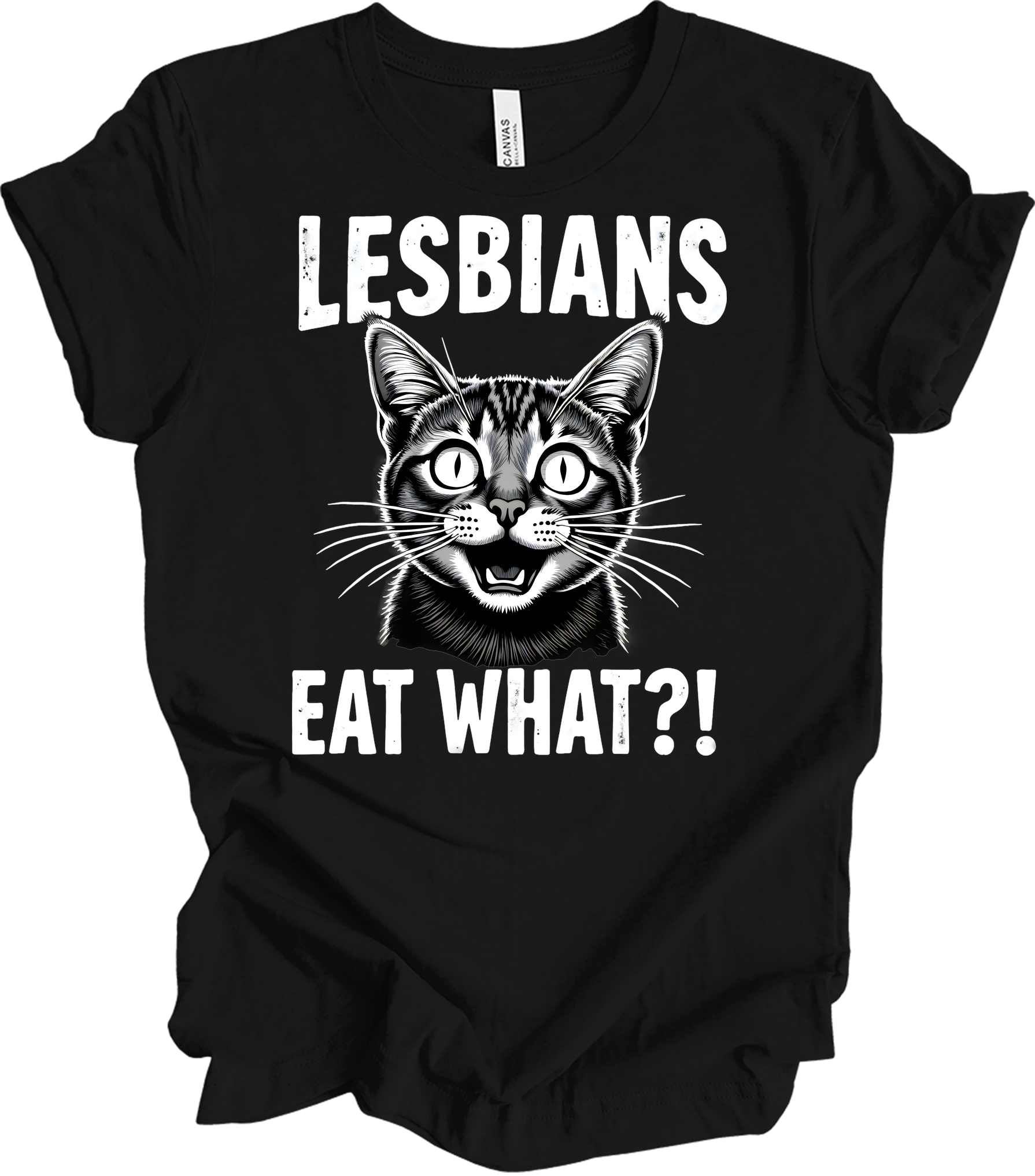 Surprised Cat Meme LGBTQ+ T-Shirt in Black