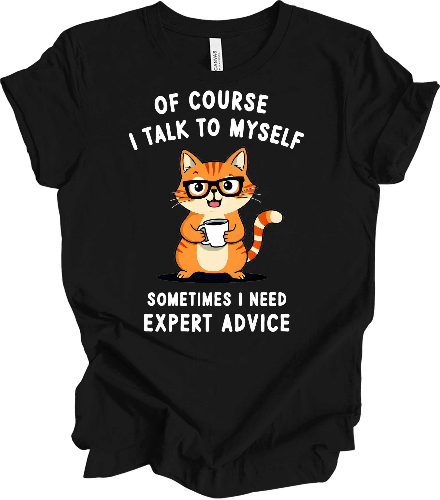 Cat Lover Talk to Myself T-Shirt in Black