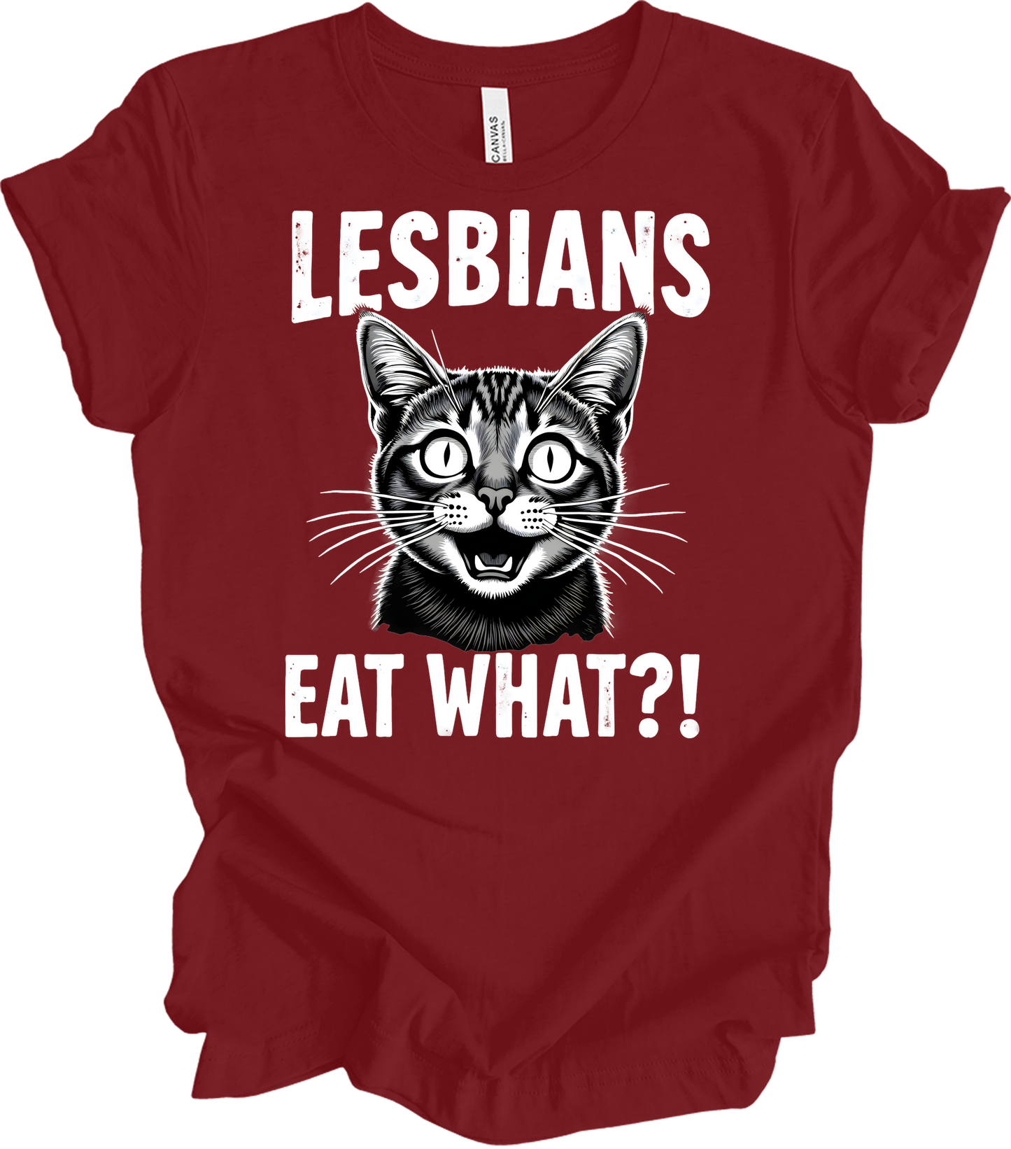 Surprised Cat Meme LGBTQ+ T-Shirt in Cardinal
