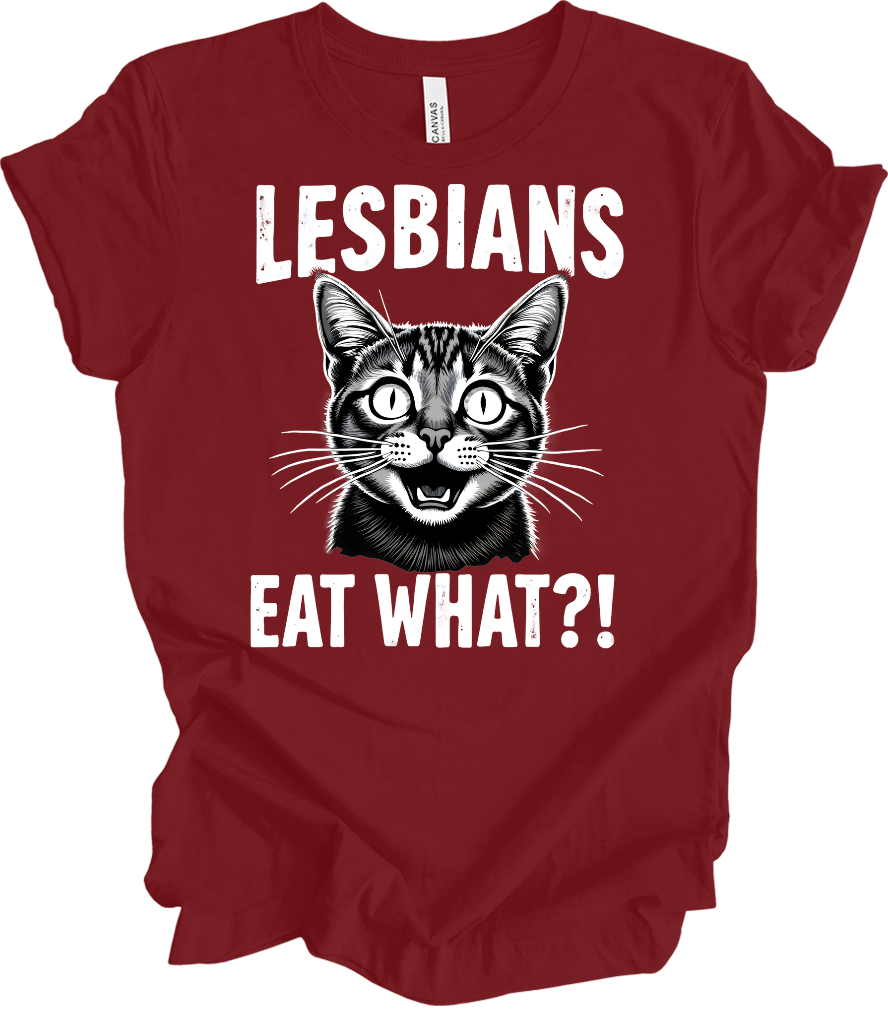 Surprised Cat Meme LGBTQ+ T-Shirt in Cardinal