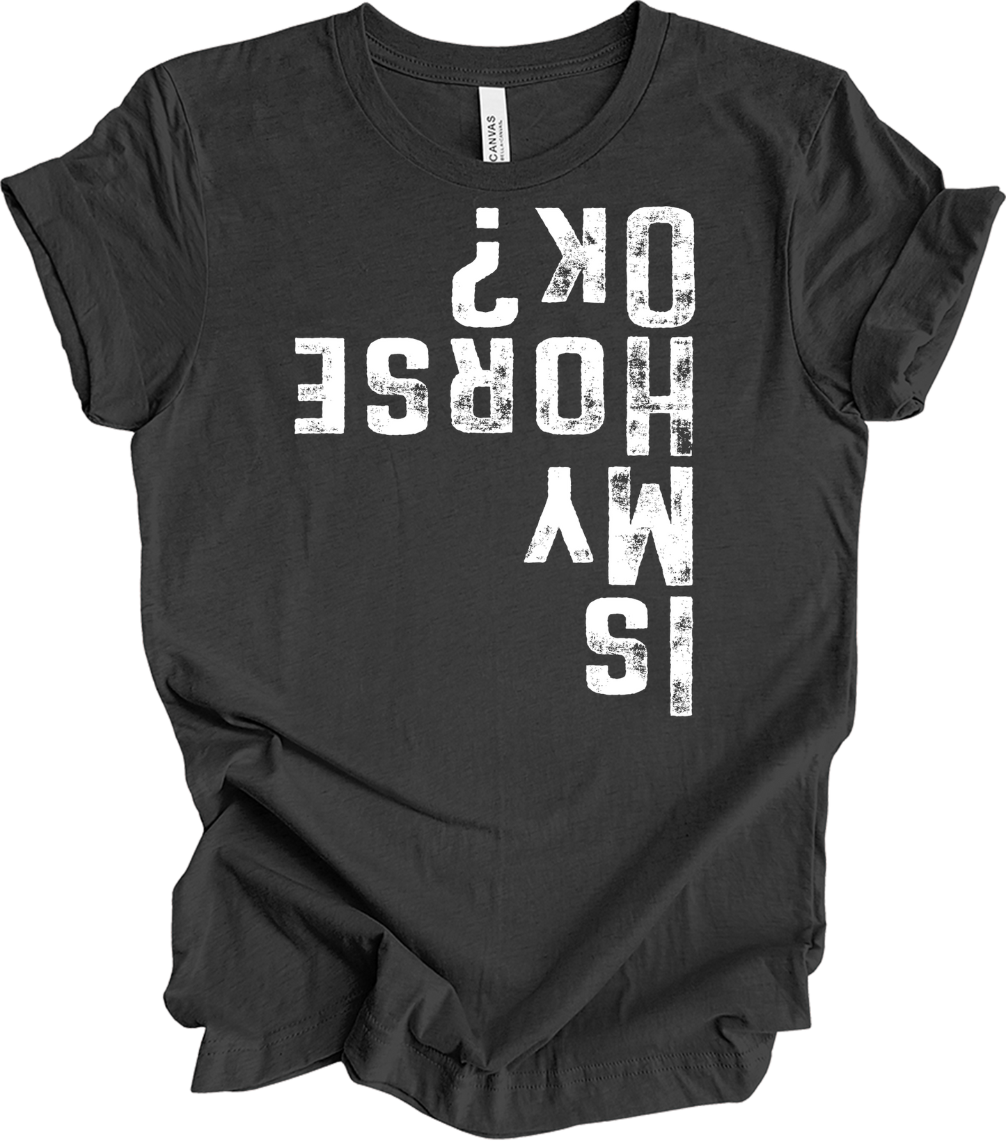 Is My Horse OK? Equestrian T-Shirt in Dark Grey Heather