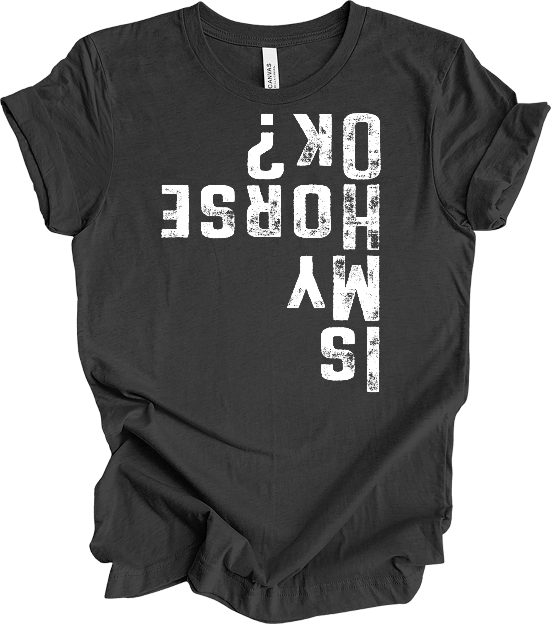 Is My Horse OK? Equestrian T-Shirt in Dark Grey Heather