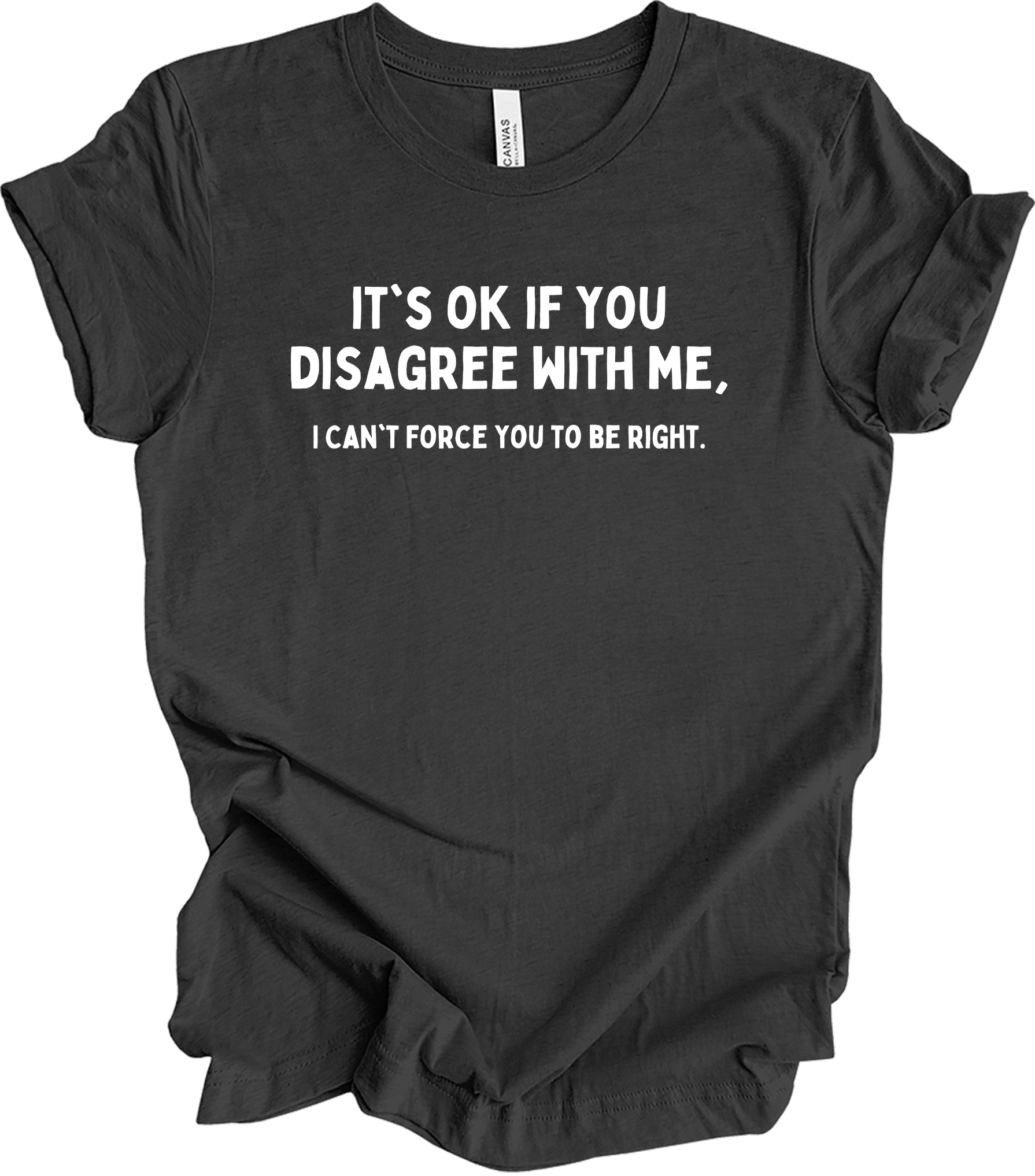 Disagree with Me Funny T-Shirt in Dark Grey Heather