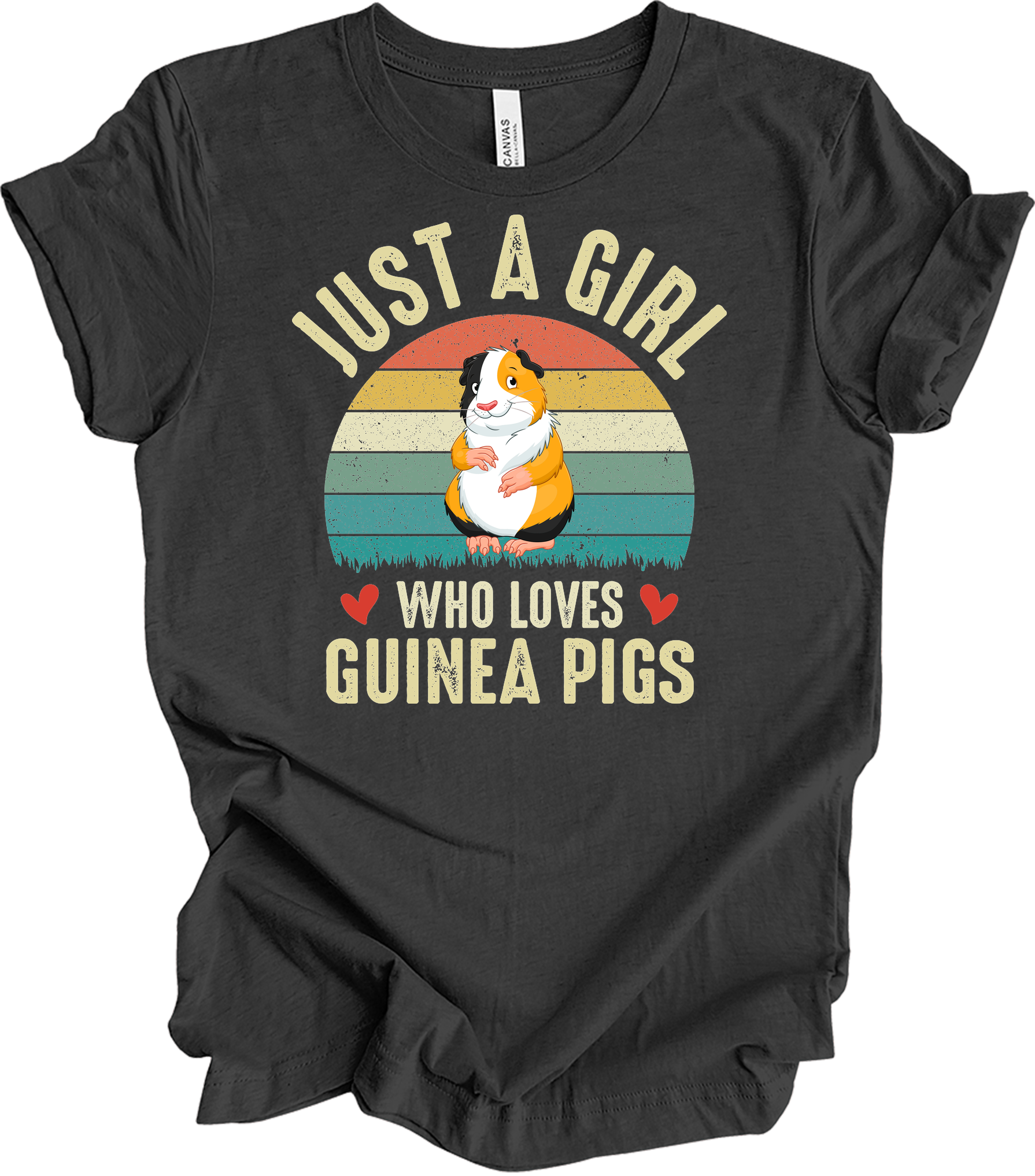 Just a Girl Who Loves Guinea Pigs - Cute Retro Pet Gift T-Shirt in Dark Grey Heather