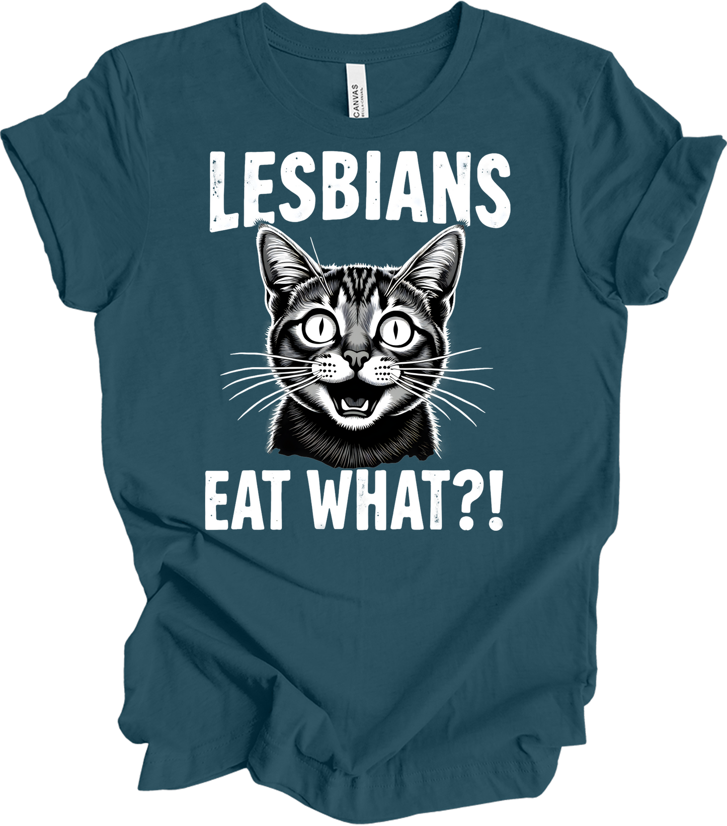 Surprised Cat Meme LGBTQ+ T-Shirt in Deep Teal