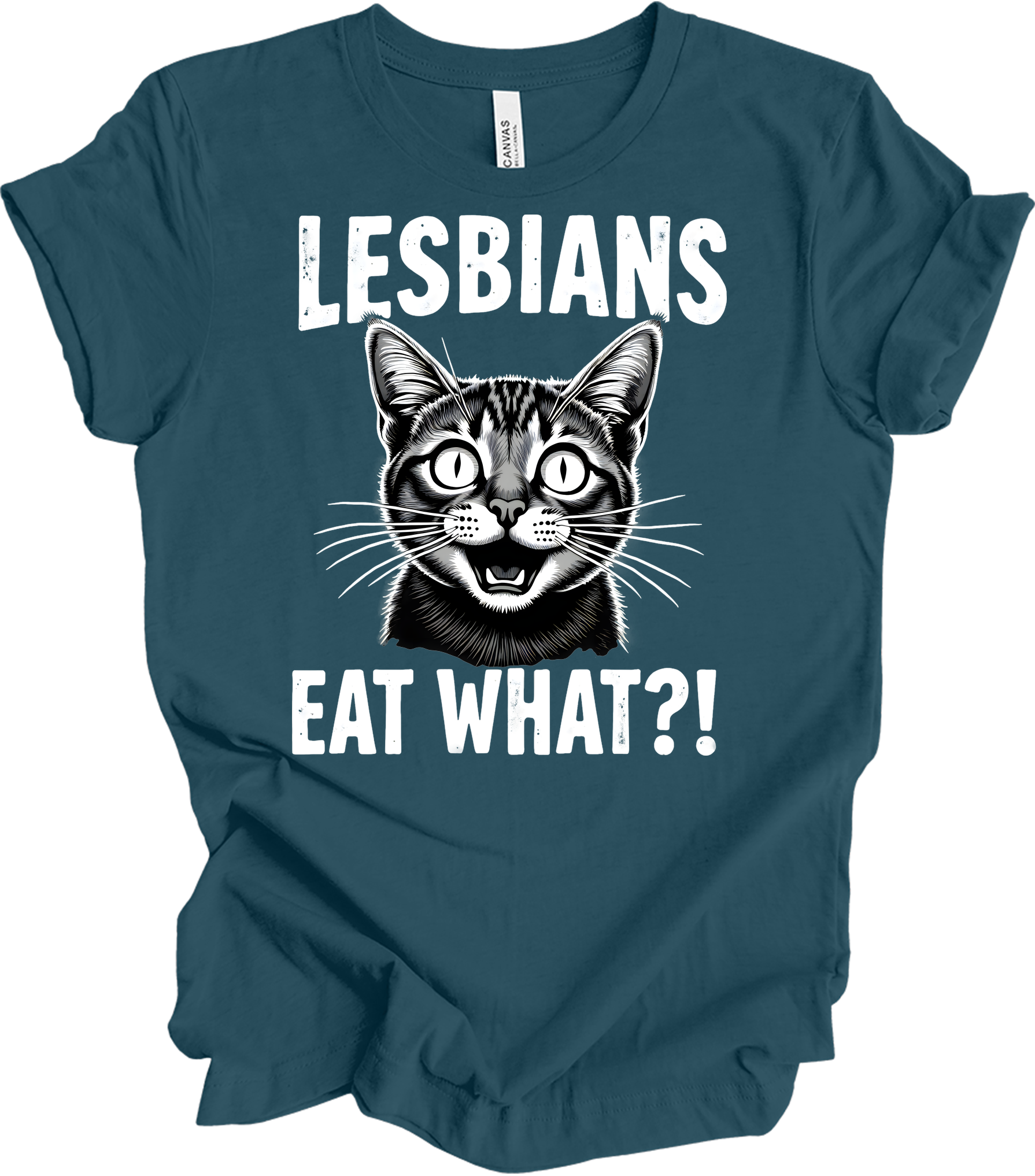 Surprised Cat Meme LGBTQ+ T-Shirt in Deep Teal