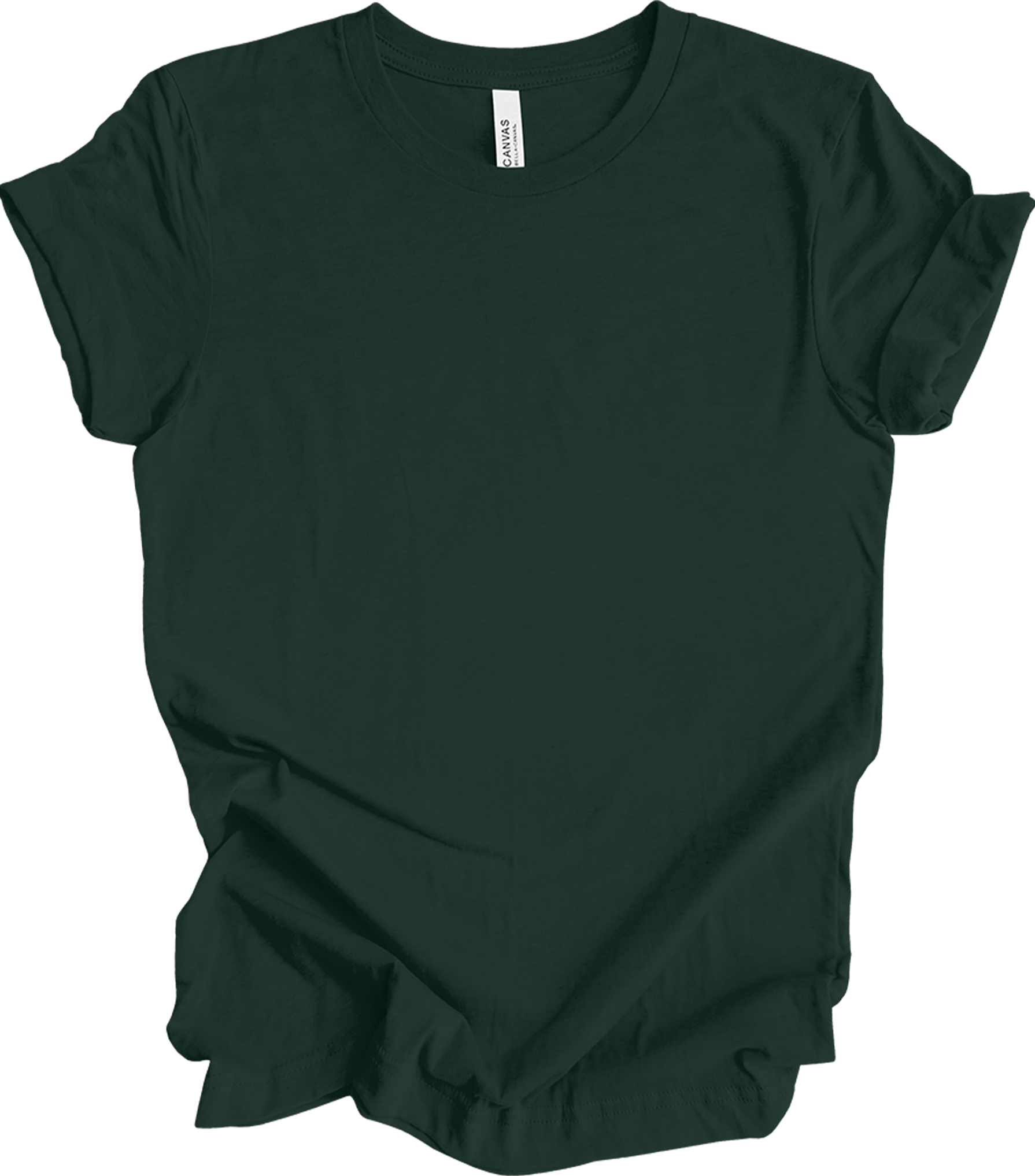 Bella Canvas 'Paused My Game' T-Shirt in Forest